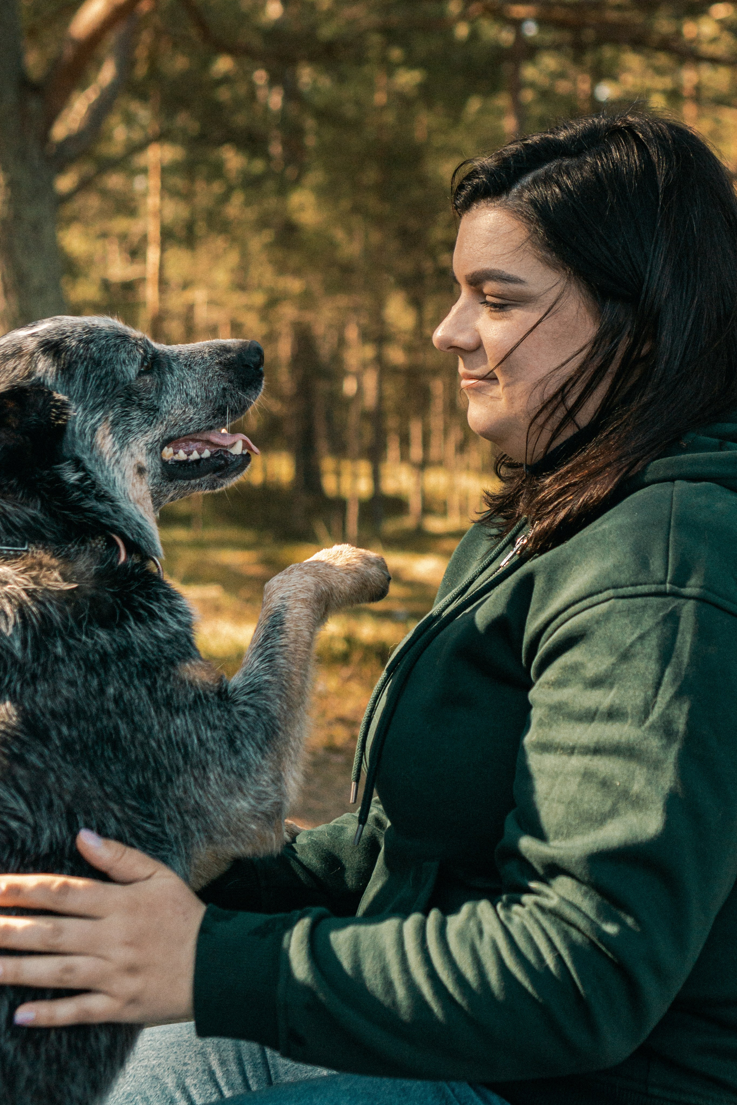 Oskar, Maria & Dmitrii. Kat Laisaar — Pet photographer in Tallinn