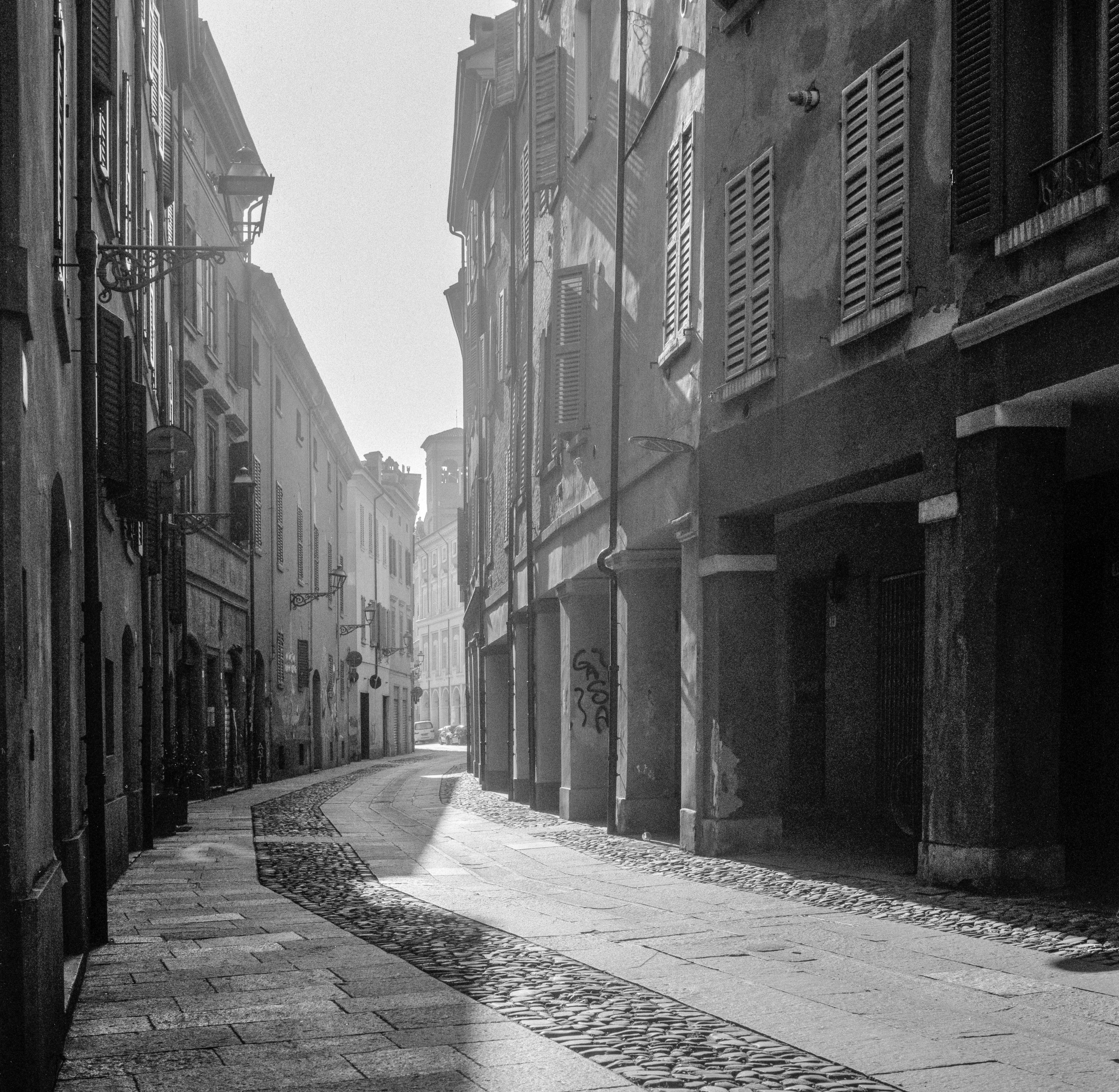 Analogica. Frank Prochilo Photography