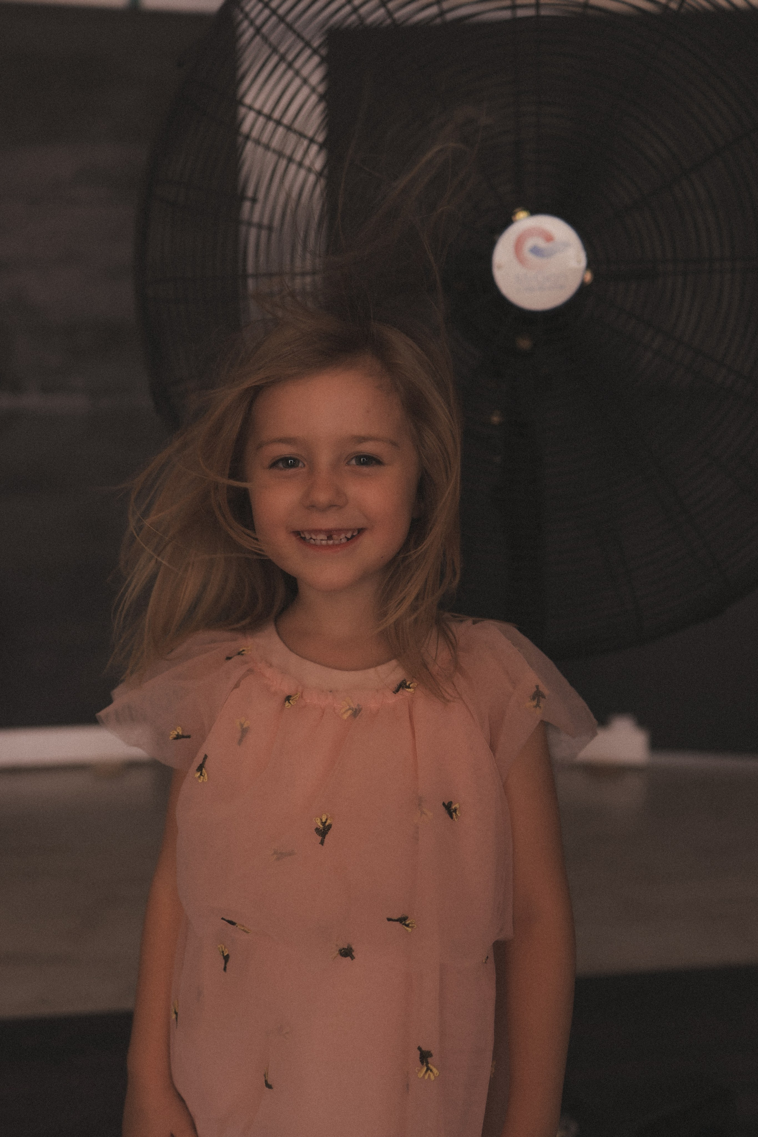 5 лет. Семейный и парный фотограф в Израиле Репчак Дмитрий