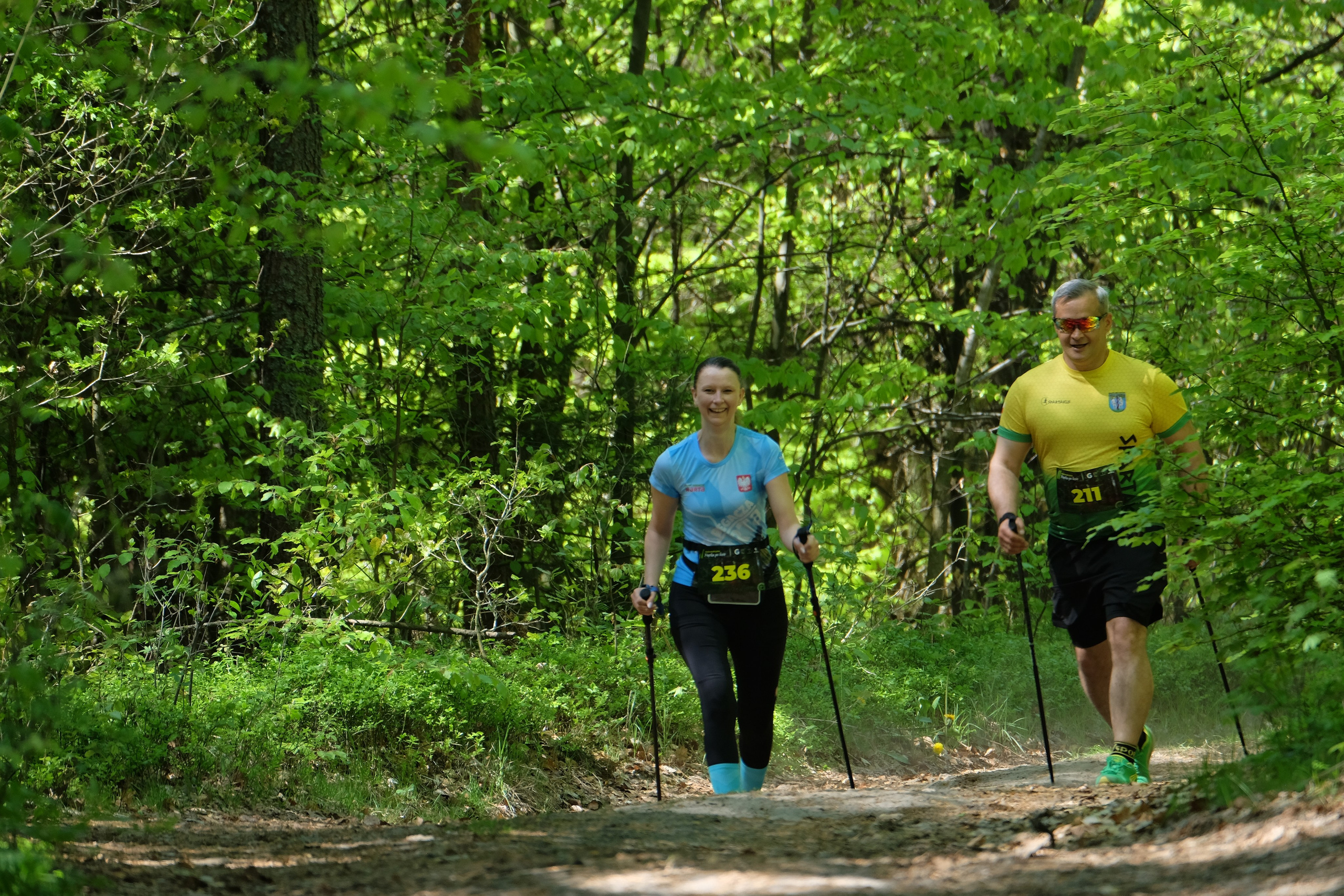 Aleksandryjska Piątka po lesie. Main