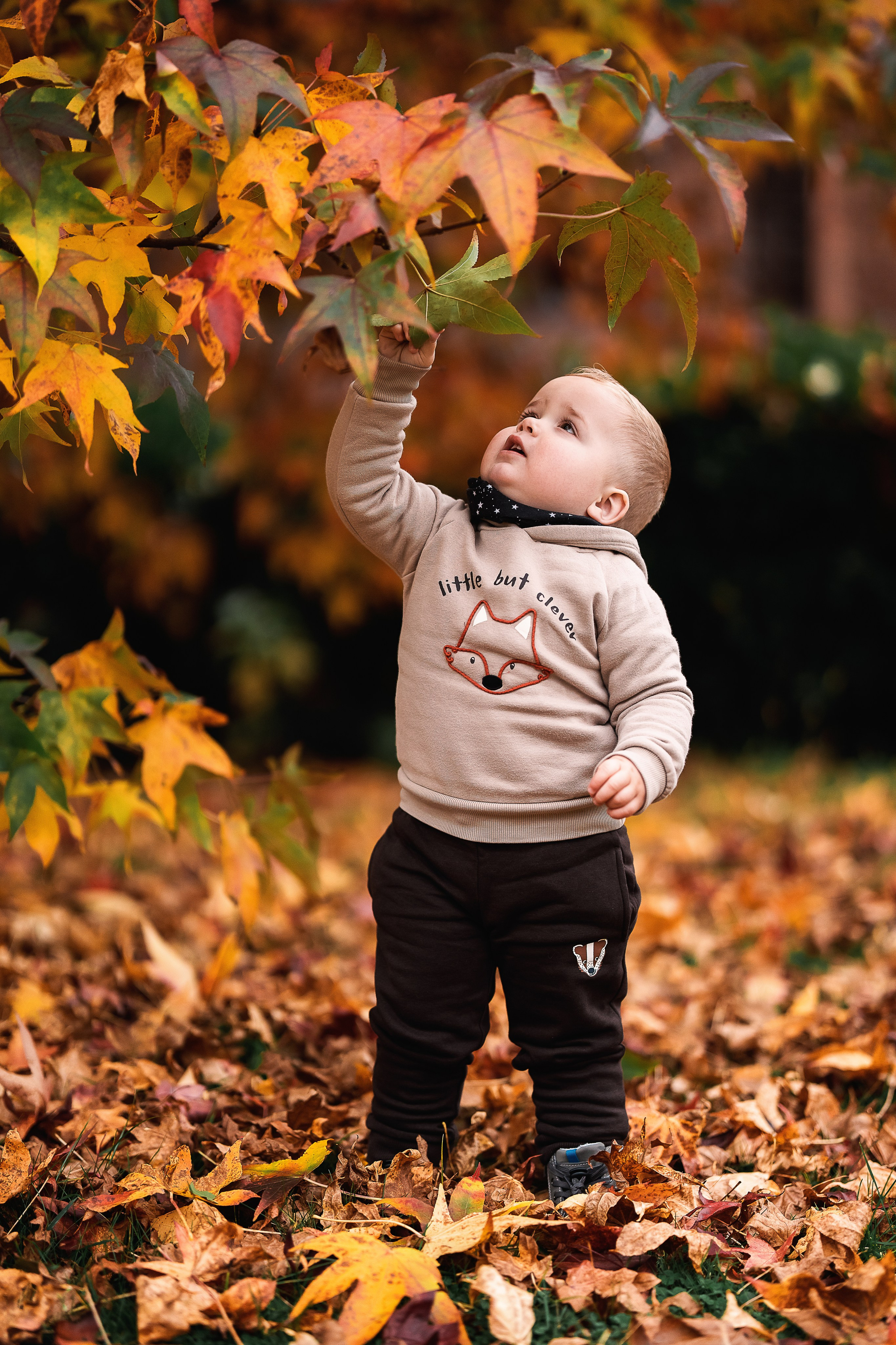 Beautiful autumn days. Family, conceptual women portrait photograher in Geneva, Switzerland