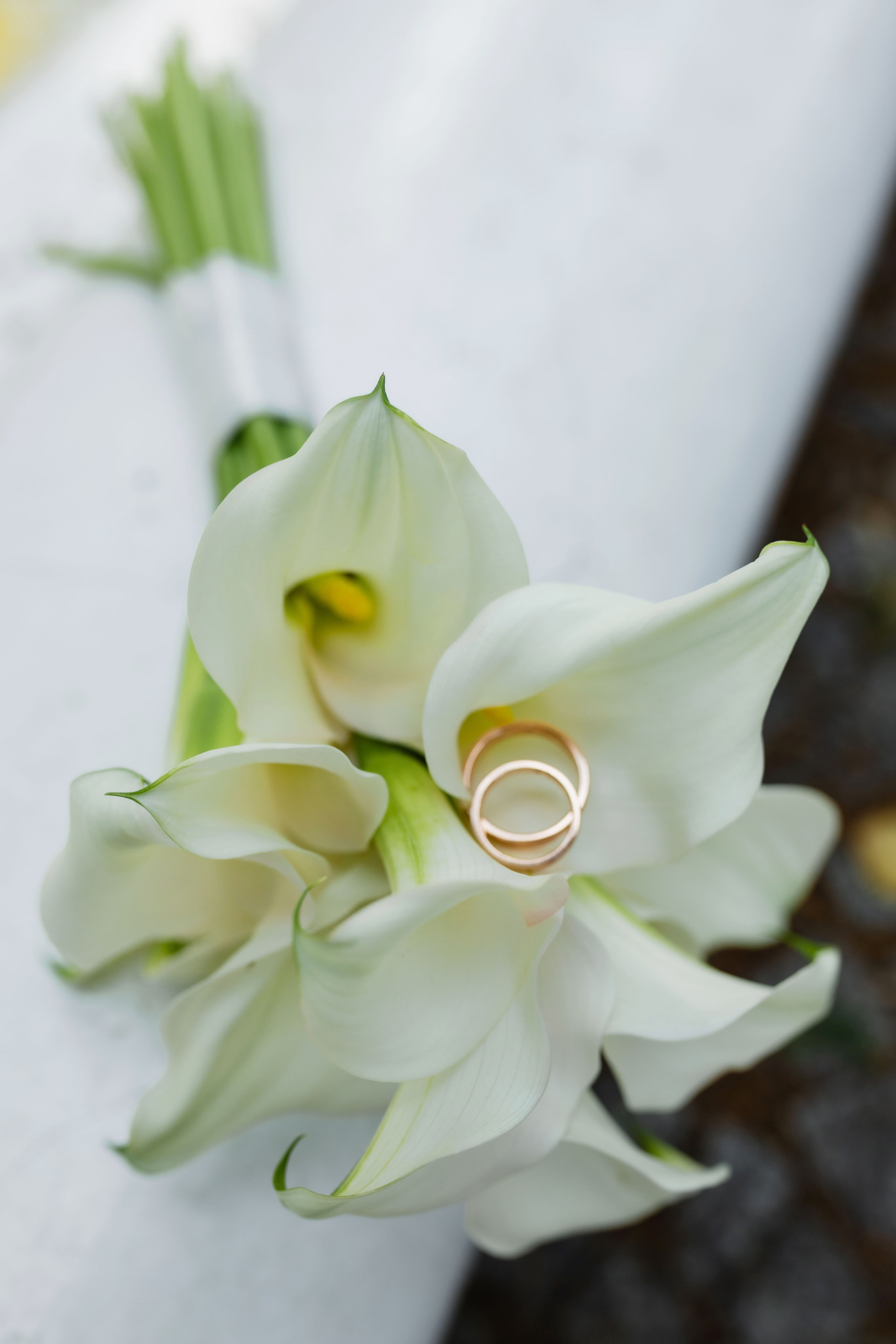 Юлия&Дмитрий. Фотограф Даугавпилс/Рига Виктория Нитиша