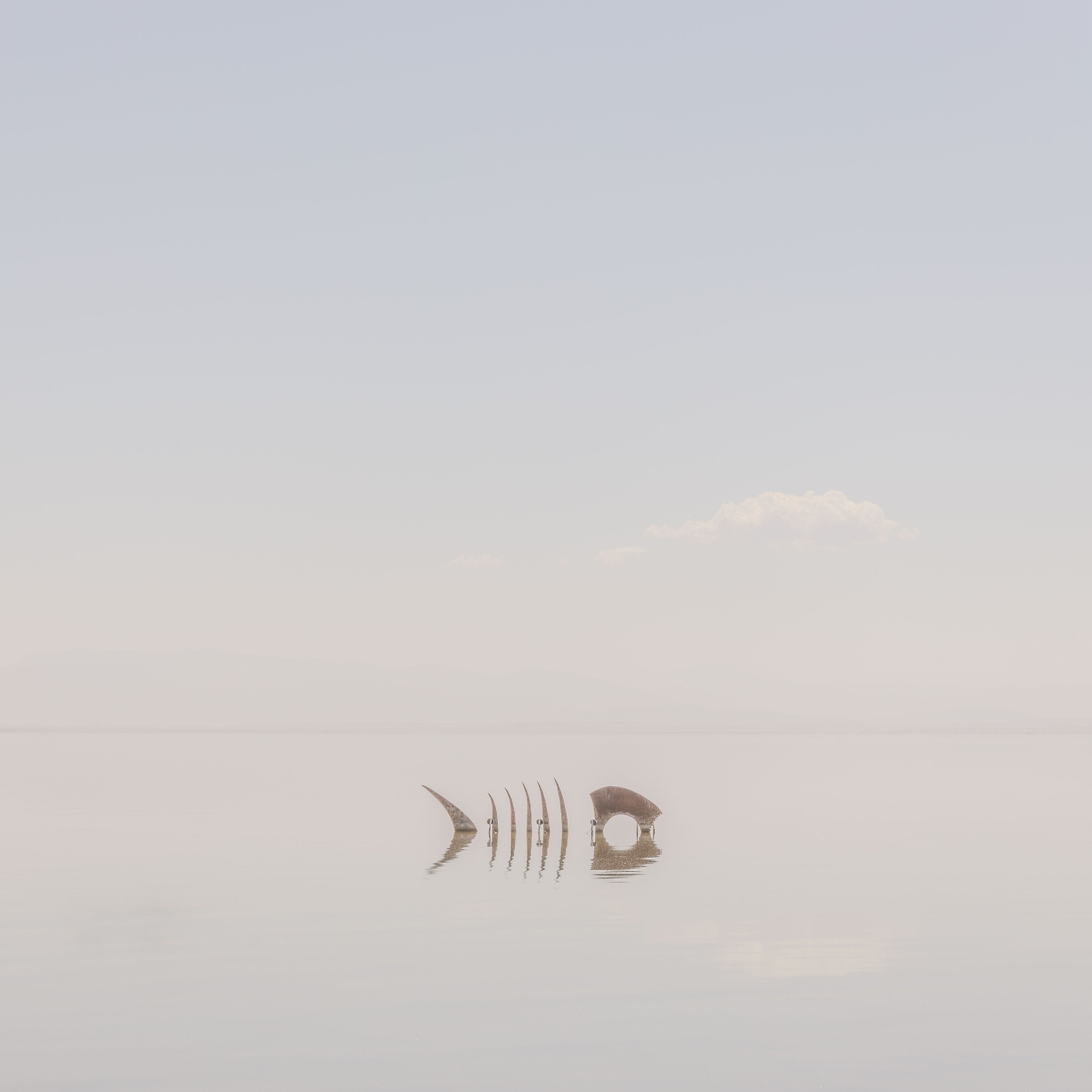 Salton Sea Legends. Olga Serebryannaya Travel Photography