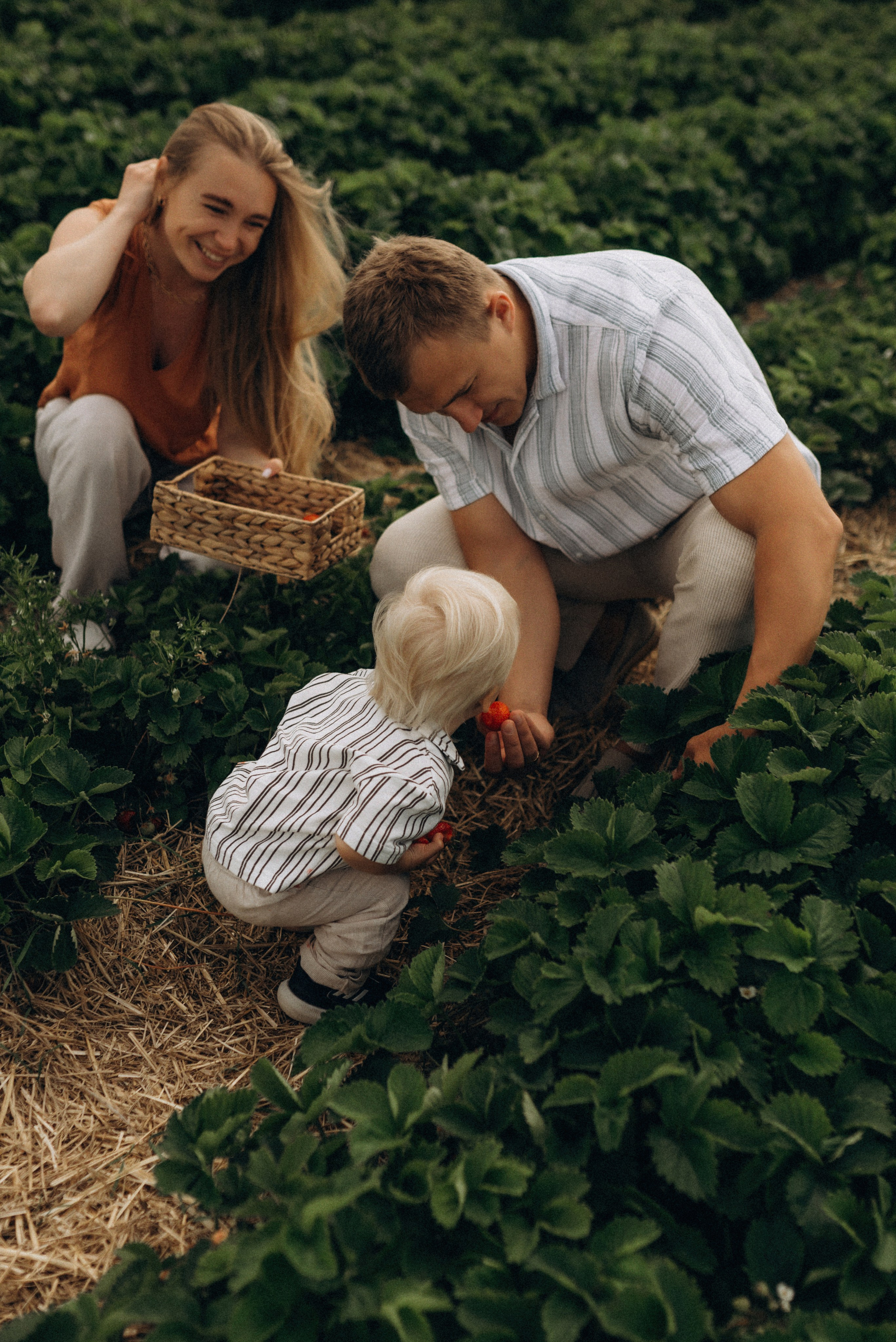 Семейная фотосессия в клубнике. Семейный фотограф Лейпциг, Германия