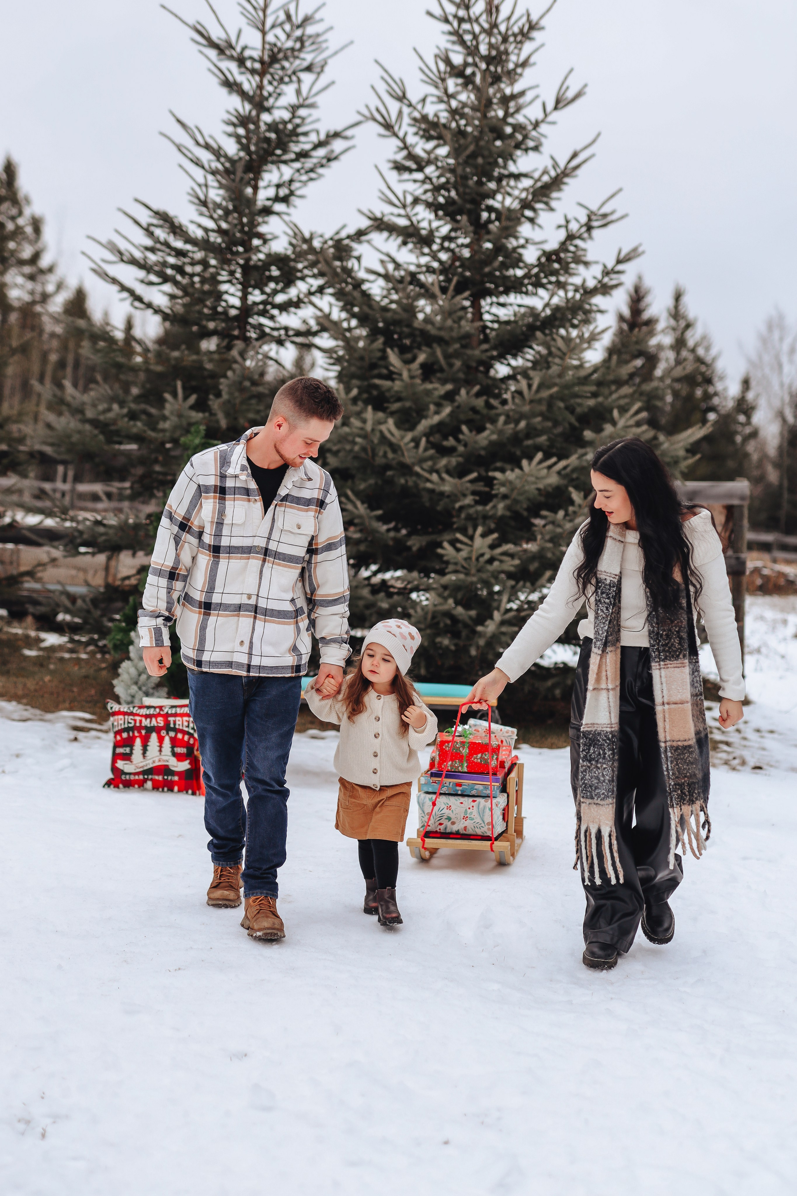 Christmas minis. Ellen Litvinova photography