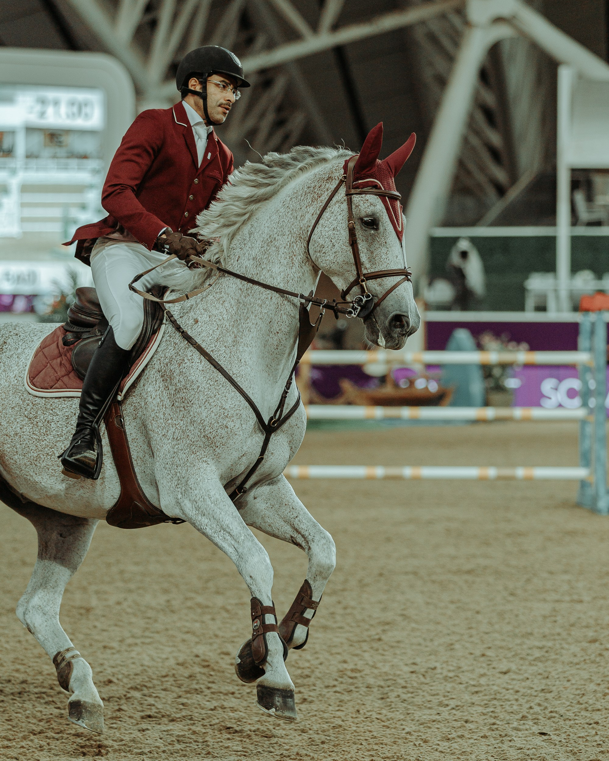 CHI 2024 — Doha. Regina Turbin — official website