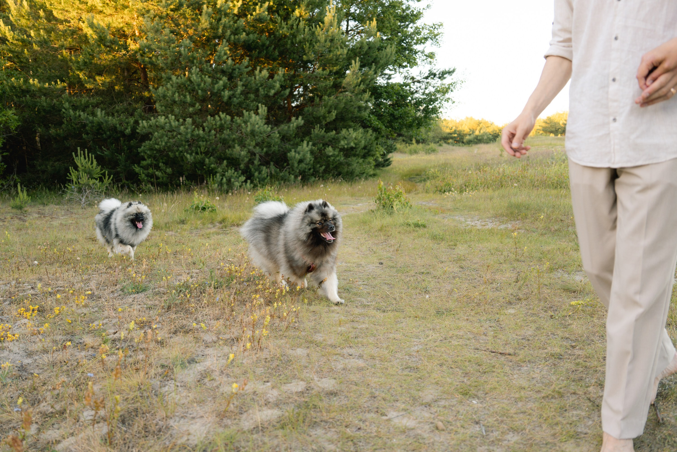 Rūta, Mindaugas, Yuma ir Meila. Vita Klimaševska ○ Fluffy Soulmate Photography