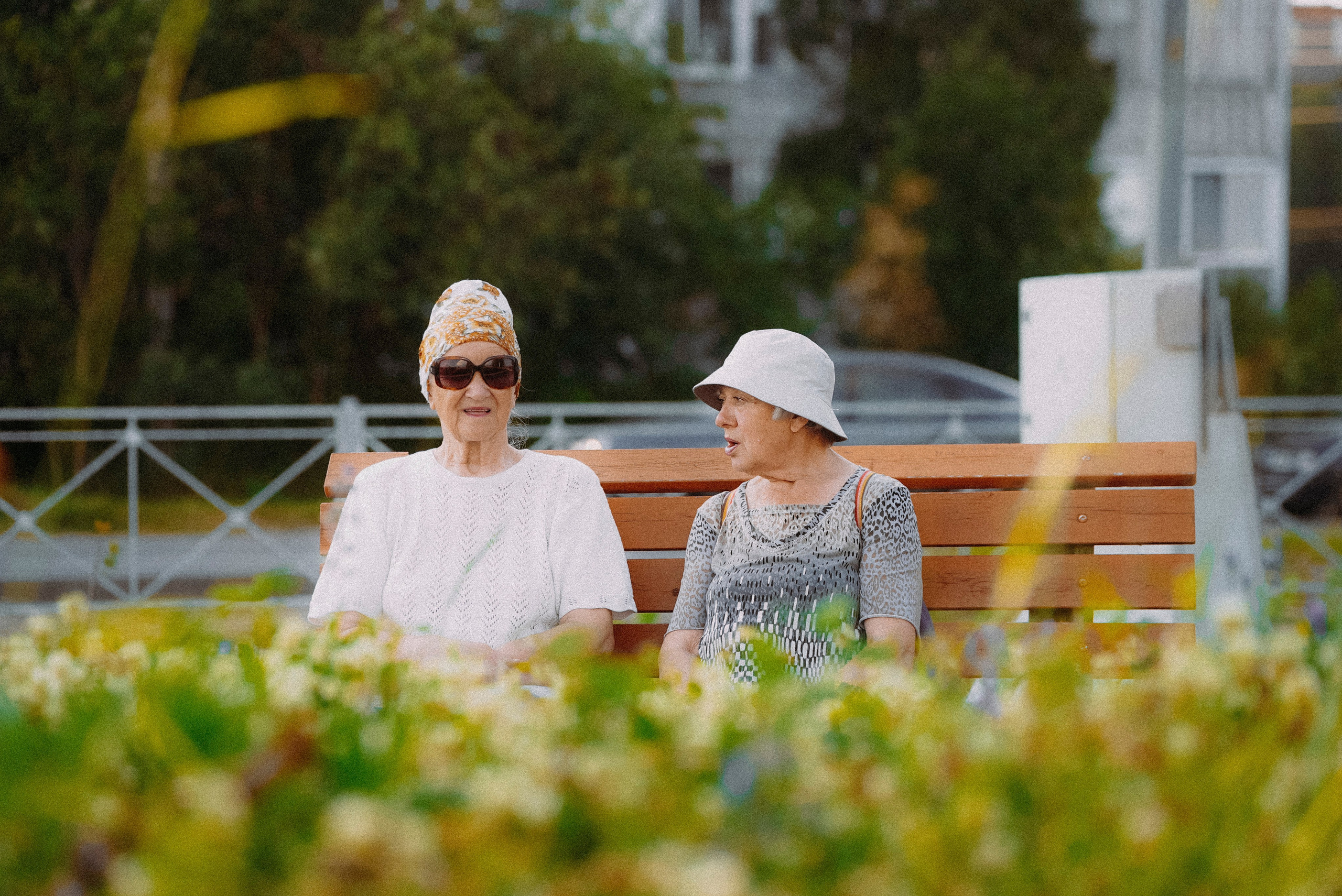 2025. Стрит-фотография, полная абсурда, идиотизма и красоты