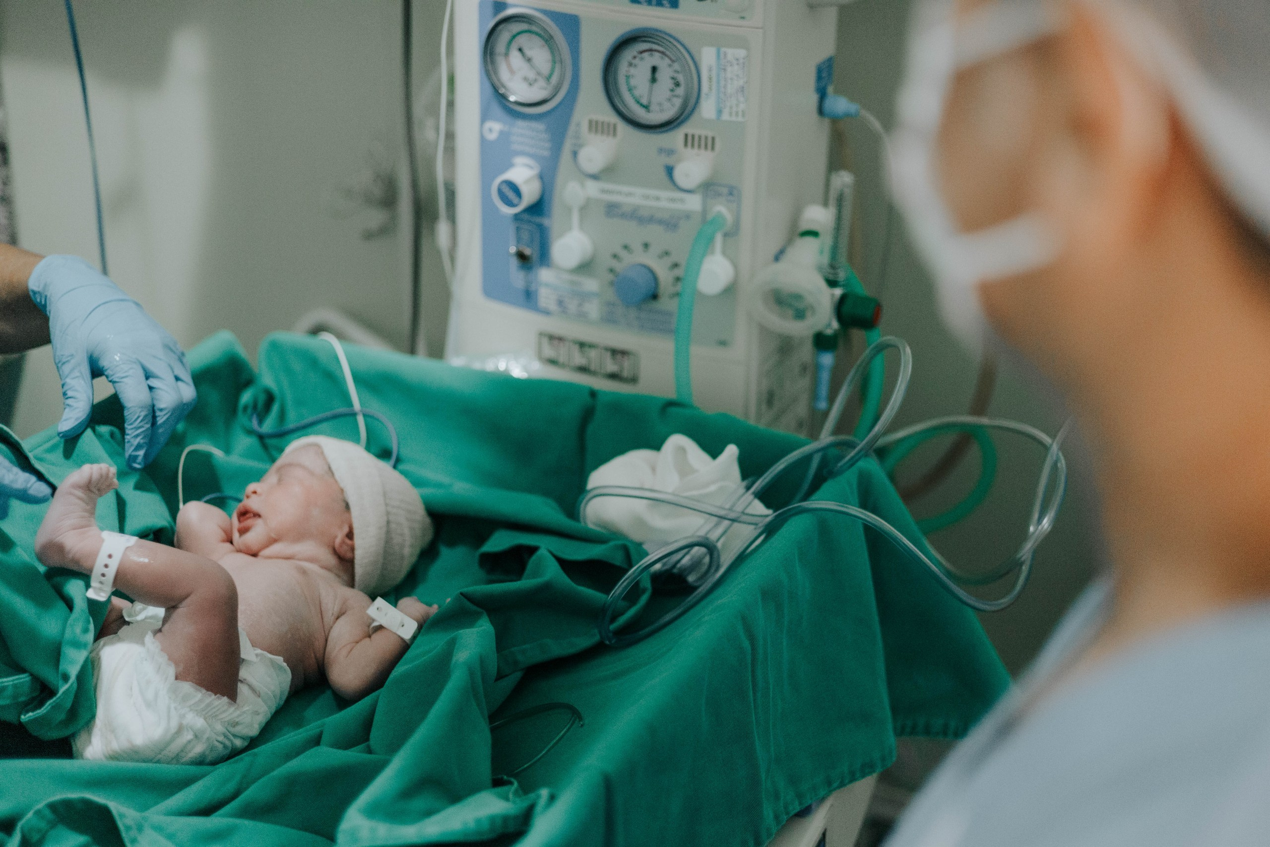 À chegada de Maria Liz. Salvy fotografia