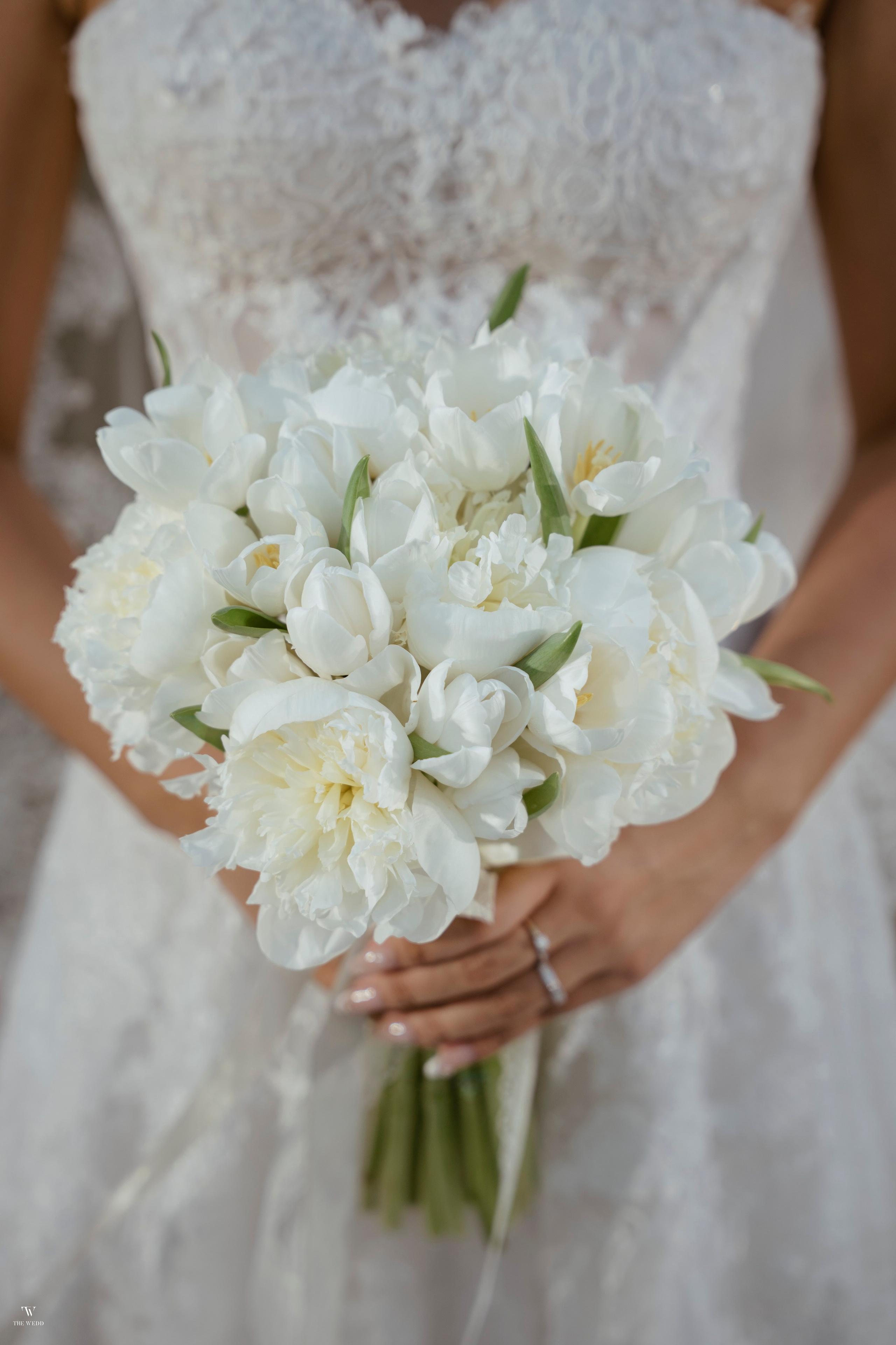 ALEX & NICOLE. WEDDING PHOTOGRAPHER IN VIETNAM