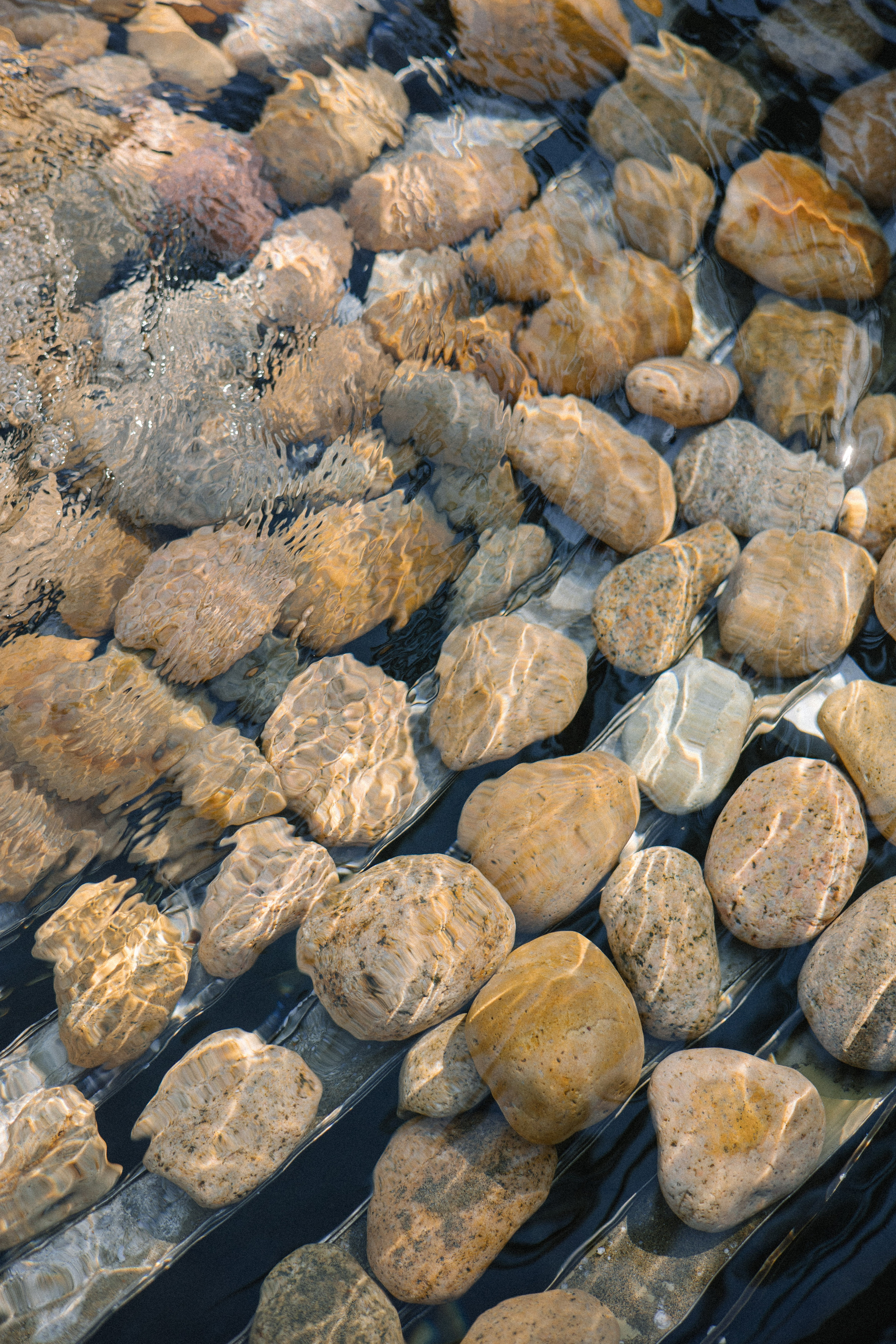 Rancho Huracan Mexico. Wedding photographer Mexico Sayulita Puerto Vallarta Punta Mita Cabo