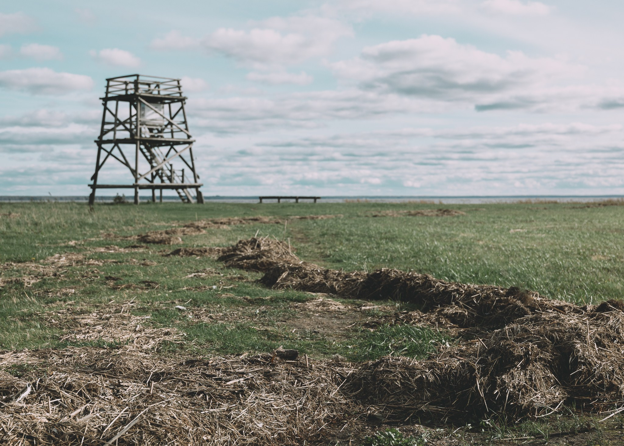 Dažādas fotogrāfijas. Sajūtu un mirkļu fotogrāfs no Rīgas, Mārtiņš Babris