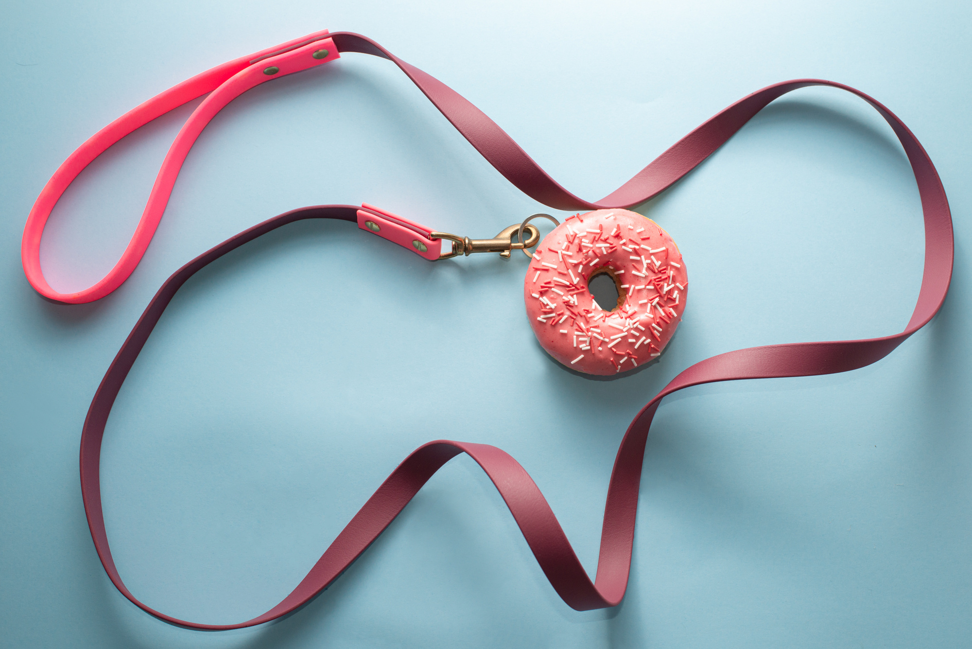 Commercial & UGC Pet Product Photography by Tanya Asfir. Tanya Asfir — Pet & Animal Photographer | Belgrade, Serbia