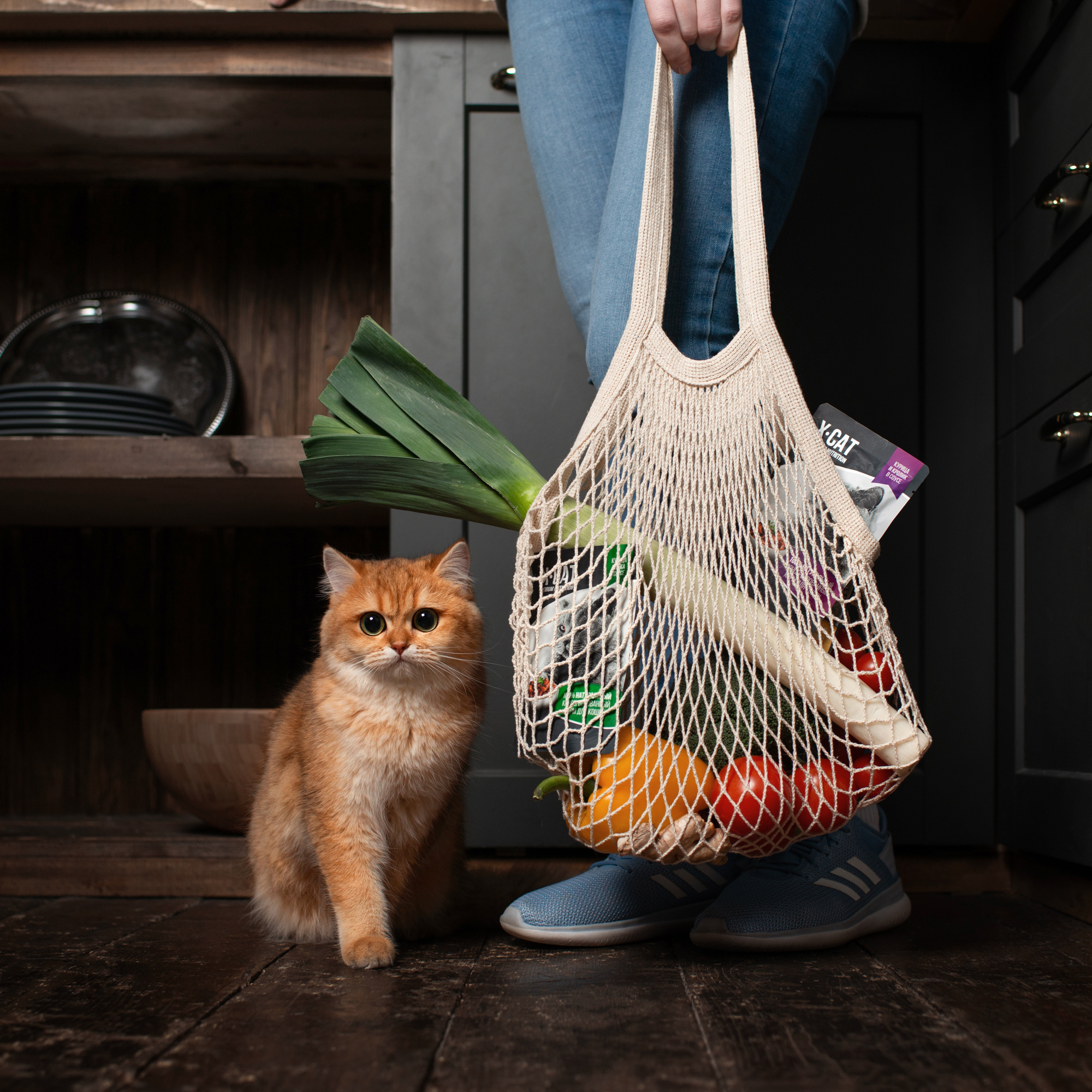 Commercial & UGC Pet Product Photography by Tanya Asfir. Tanya Asfir — Pet & Animal Photographer | Belgrade, Serbia