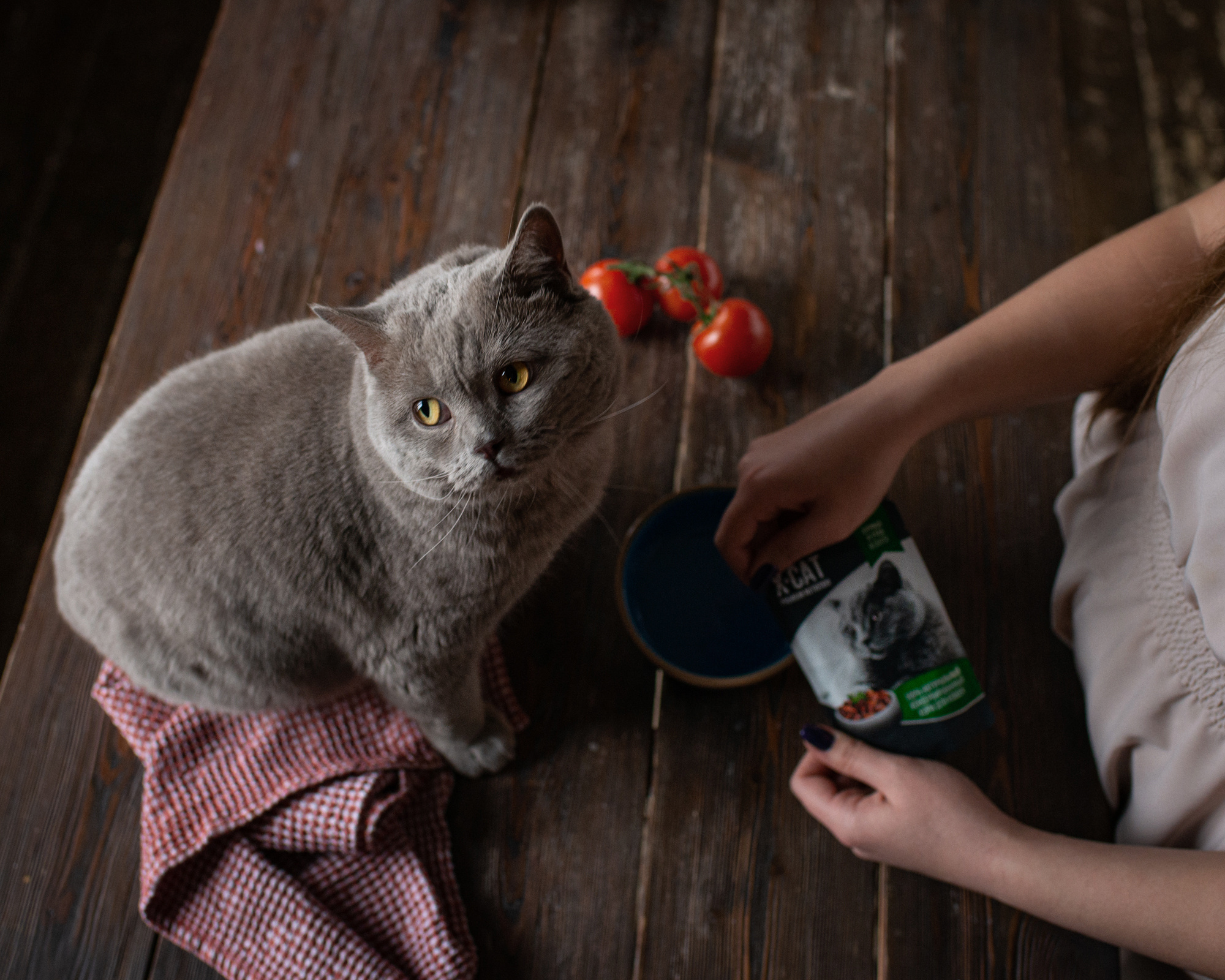 Commercial & UGC Pet Product Photography by Tanya Asfir. Tanya Asfir — Pet & Animal Photographer | Belgrade, Serbia