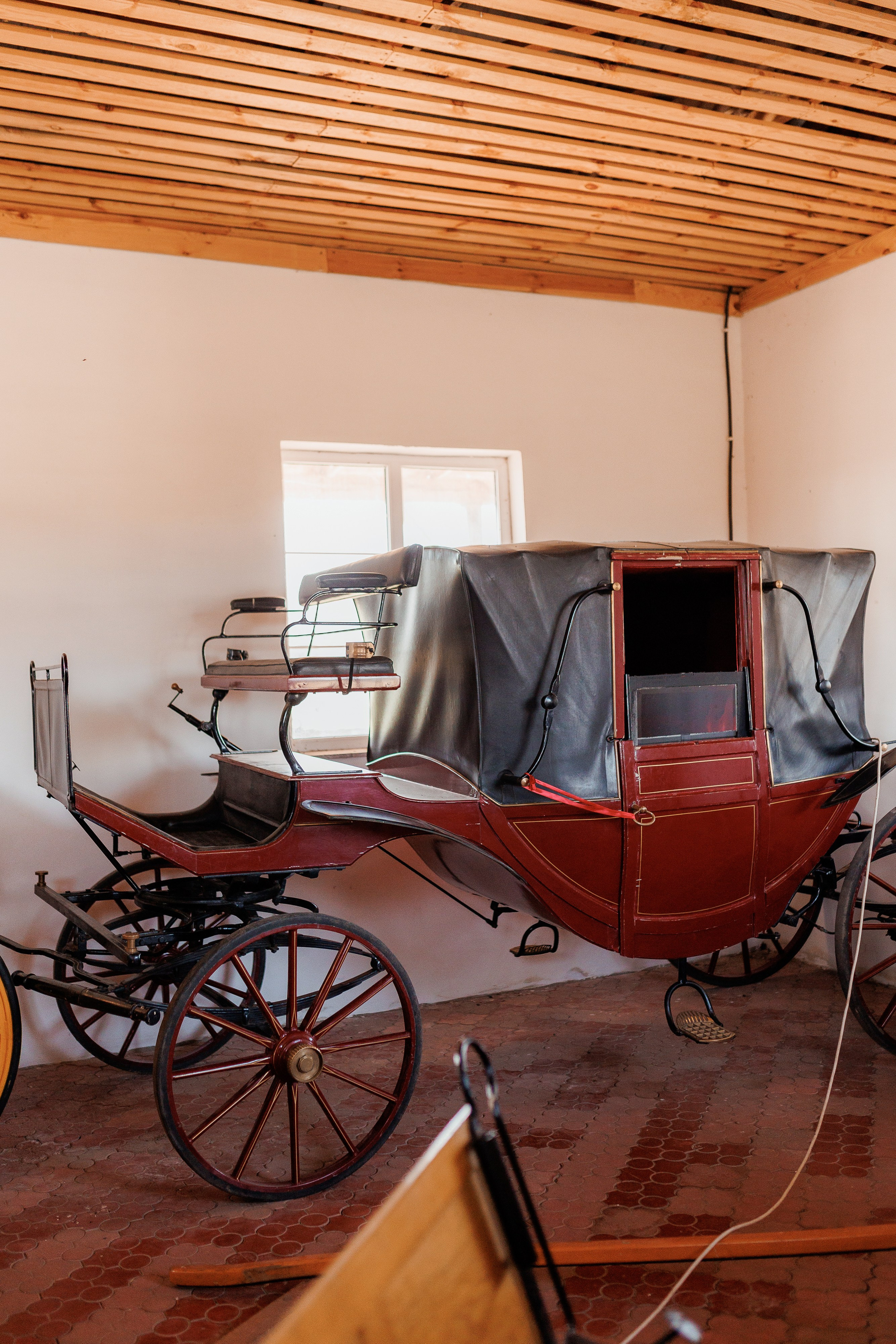 Екопарк Аміла. Ірина Терещук