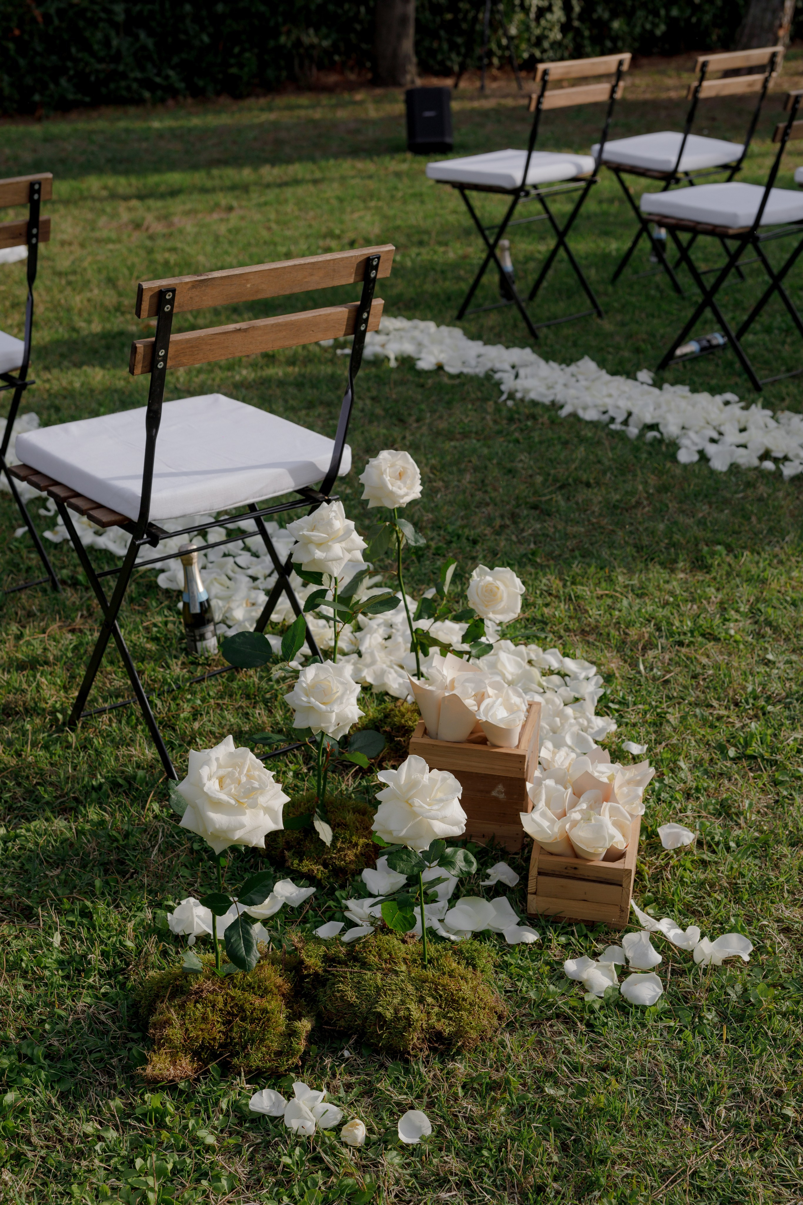 Dom&Ally. Весільний фотограф Вікторія Саврук