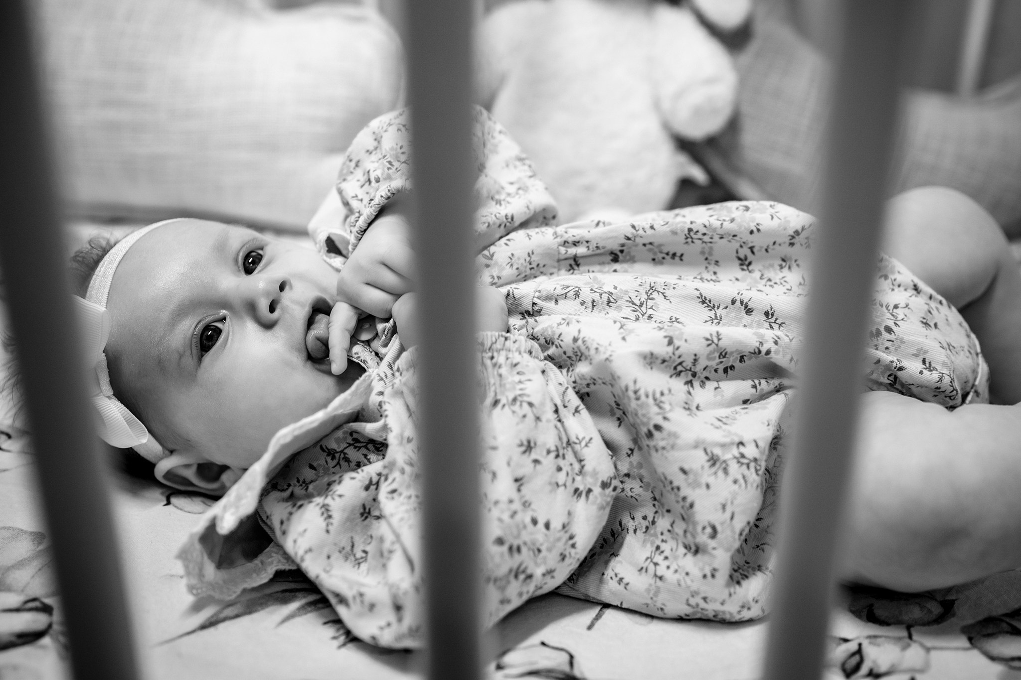 Sweetest devotion. Iris Lara. Acasă