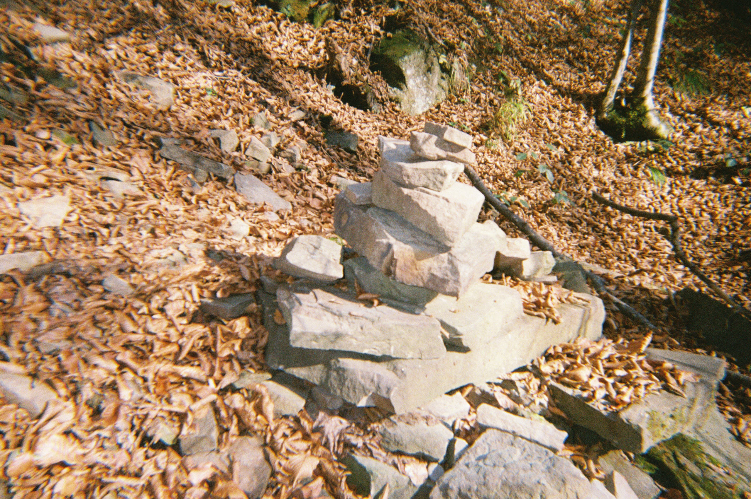 Teambuilding Digital Partners