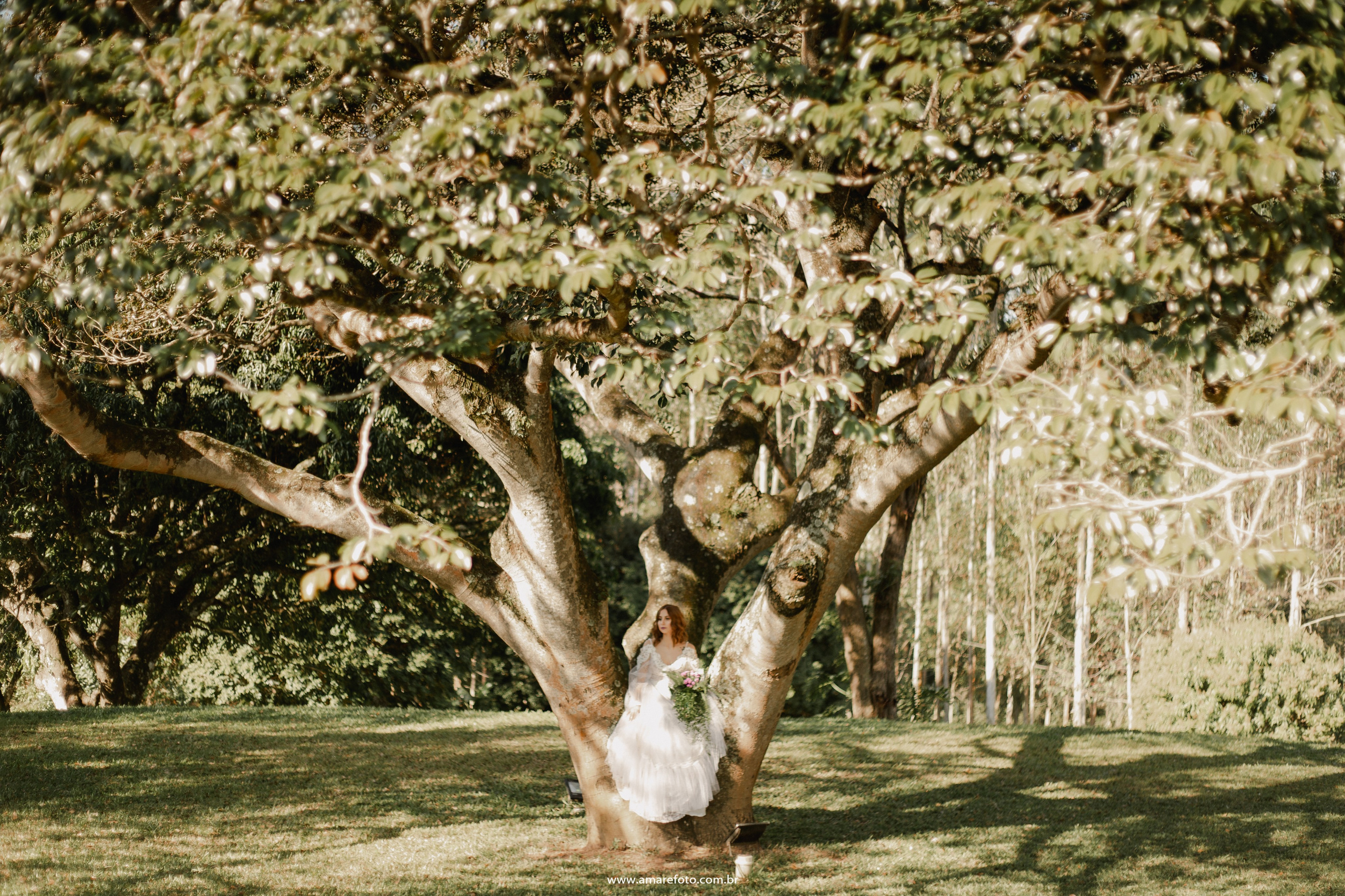 Editorial — Estância Jatobá