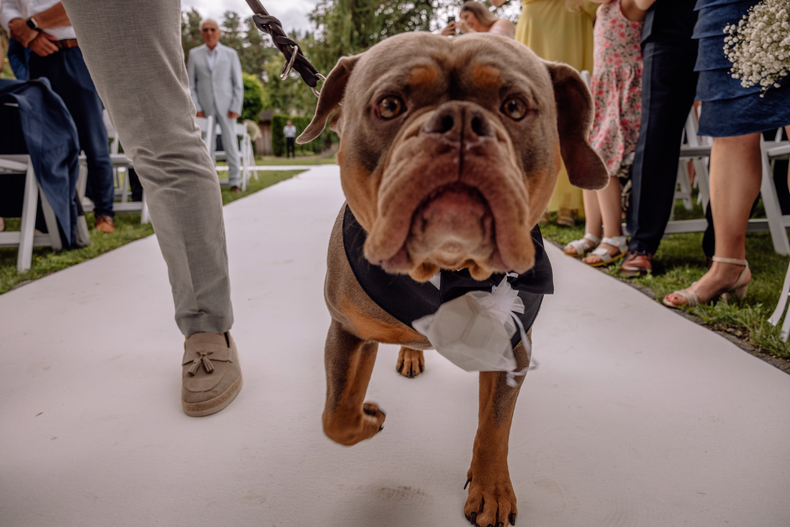 Hochzeit in der Birkenheide (Geisenfeld). Hochzeitsfotograf München Taufe Familienfotograf Tanja Mauke