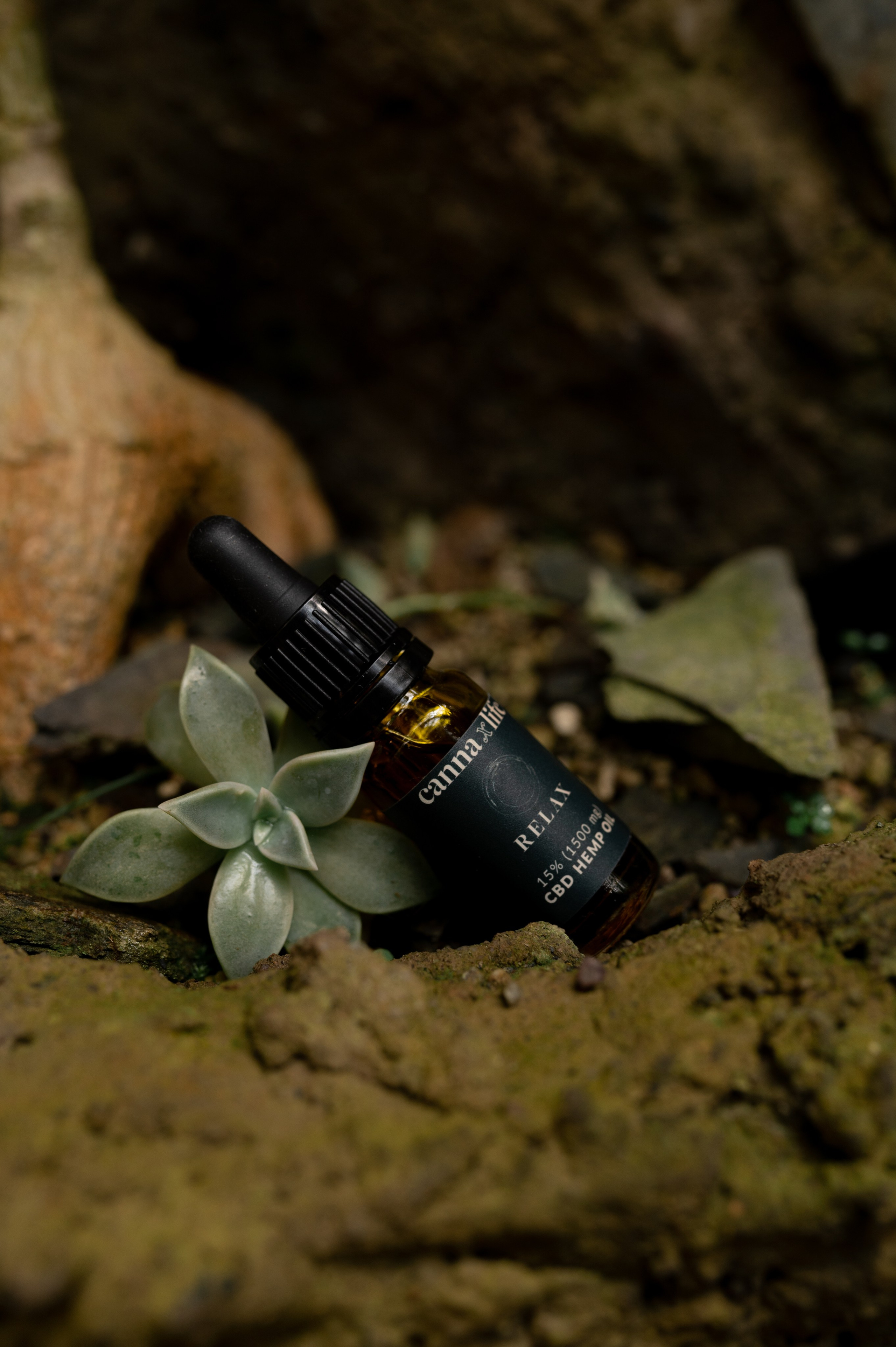 CannaXlife CBD products. ANNA-MARIA PHOTO CONTENT CREATOR — фотограф, эстет, художник и визуальный эксперт в Instagram, работающий в Праге