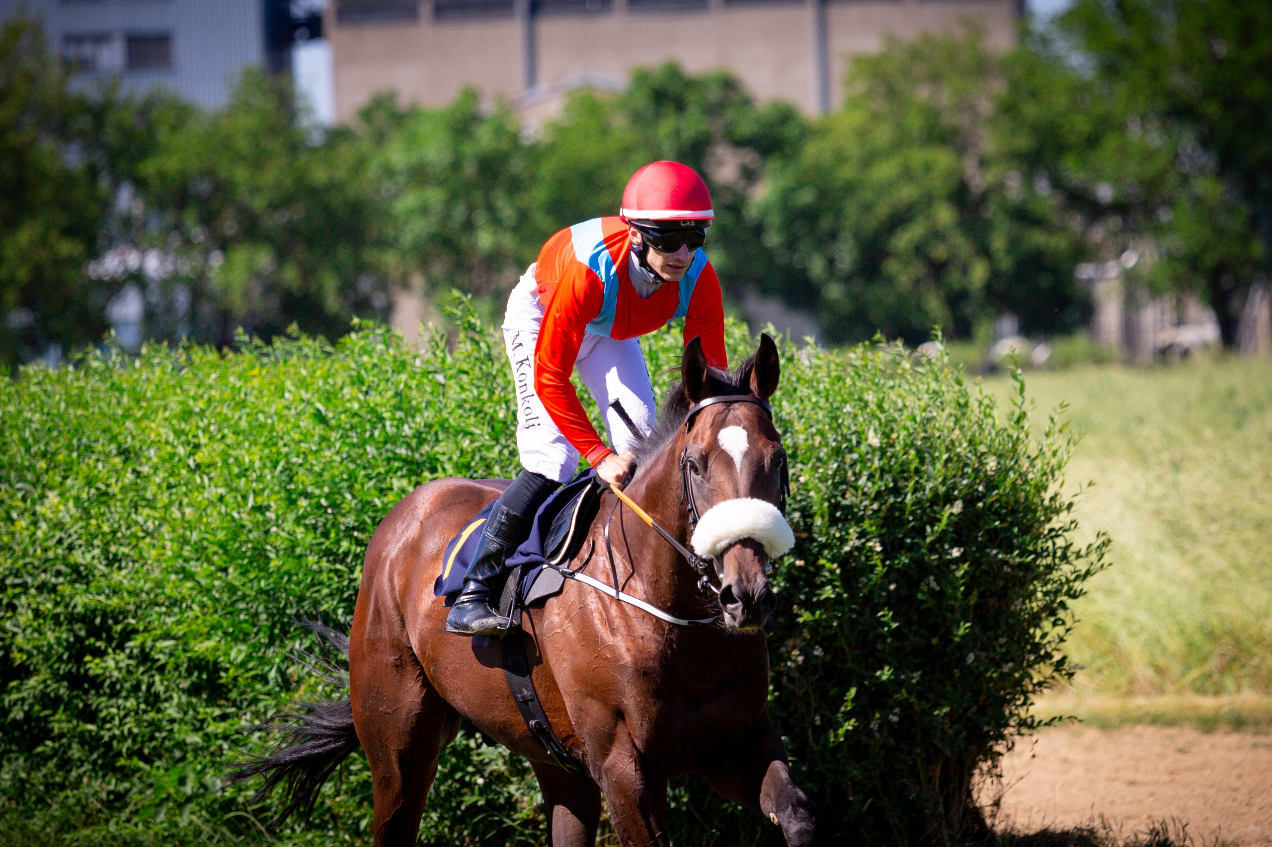Konjičke trke u Požarevcu. Fotoivanpancevo