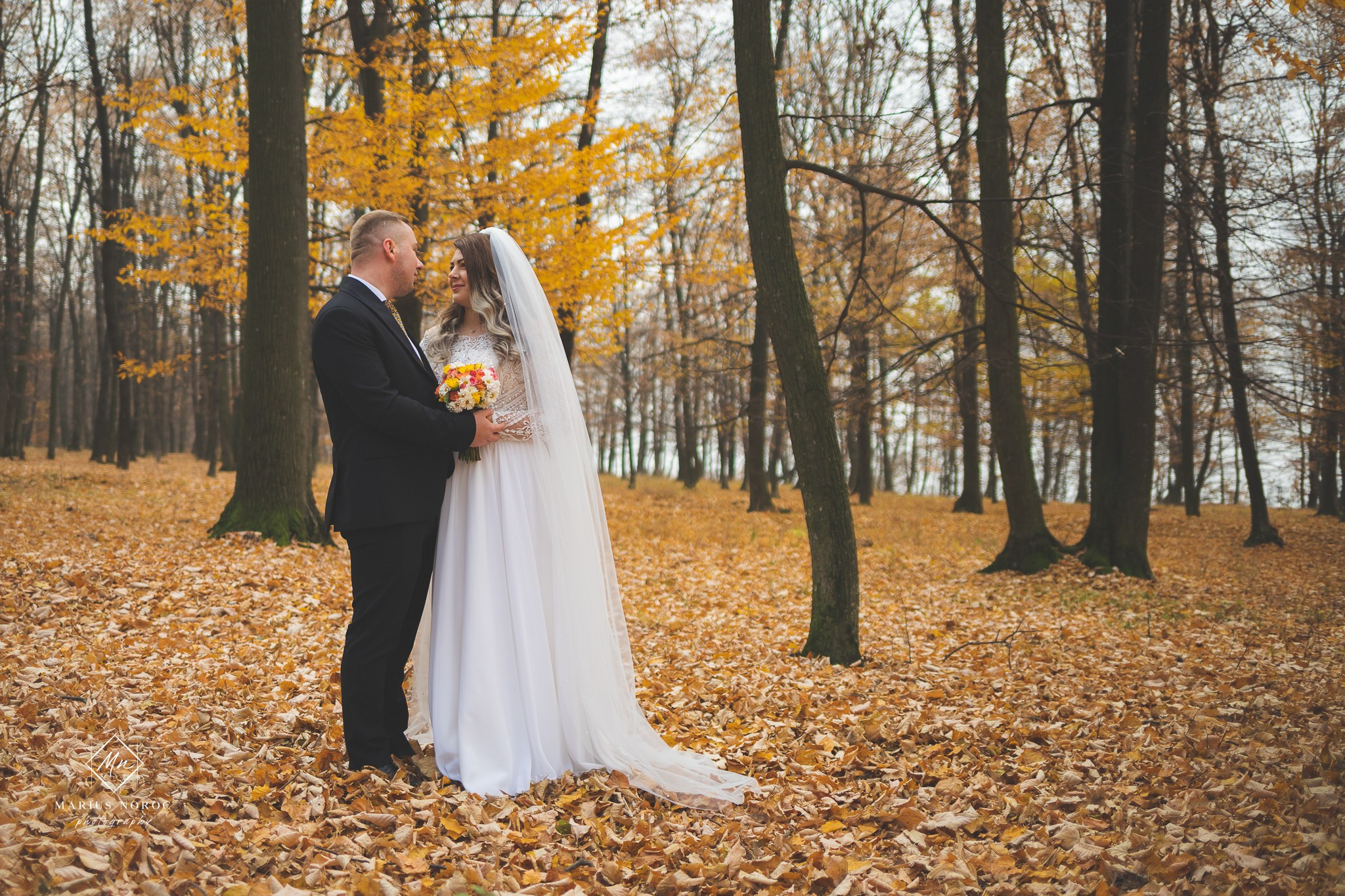 Oana & Daniel | Padurea Bucium Iasi