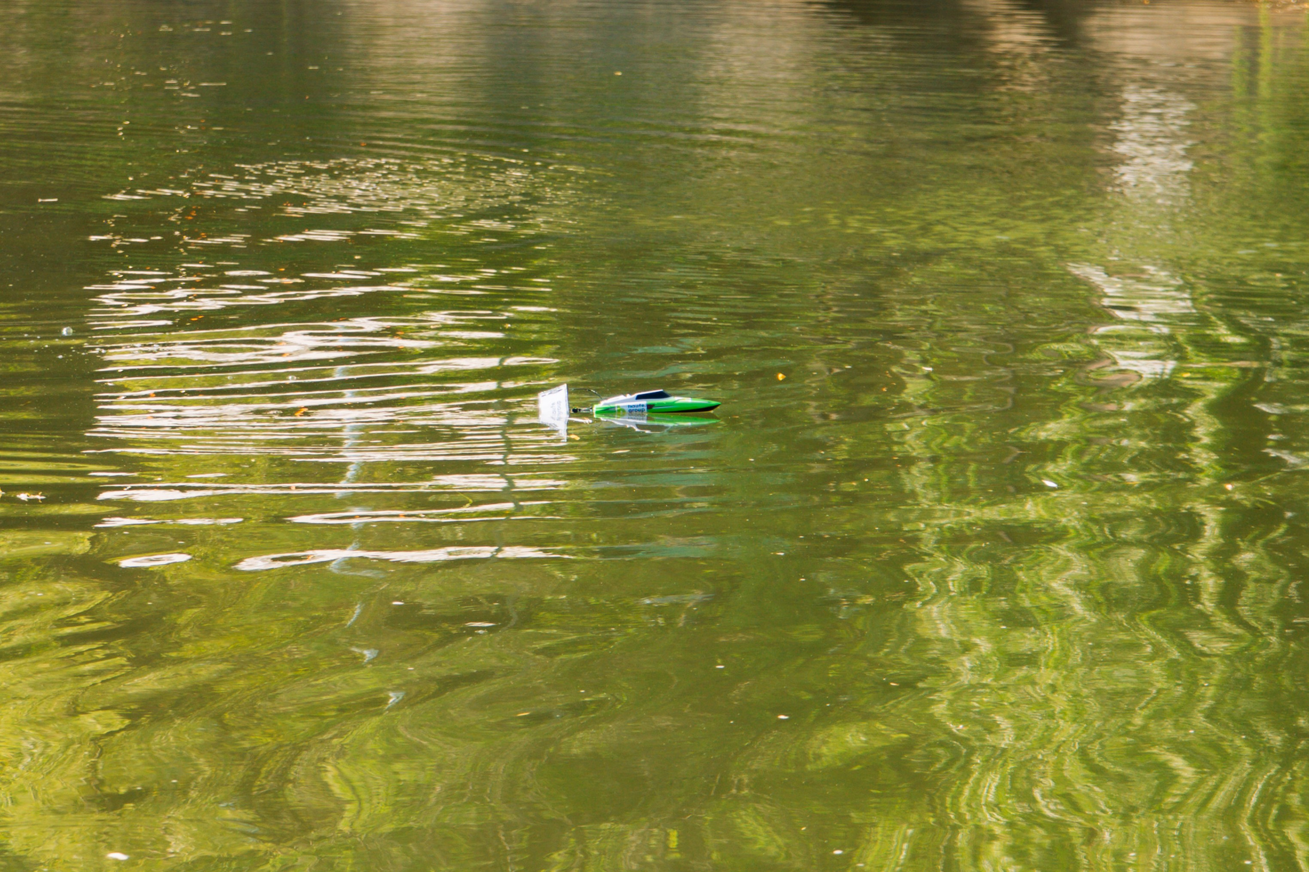 06.04 Bega Boat Race. Cozac Cristian Photographer