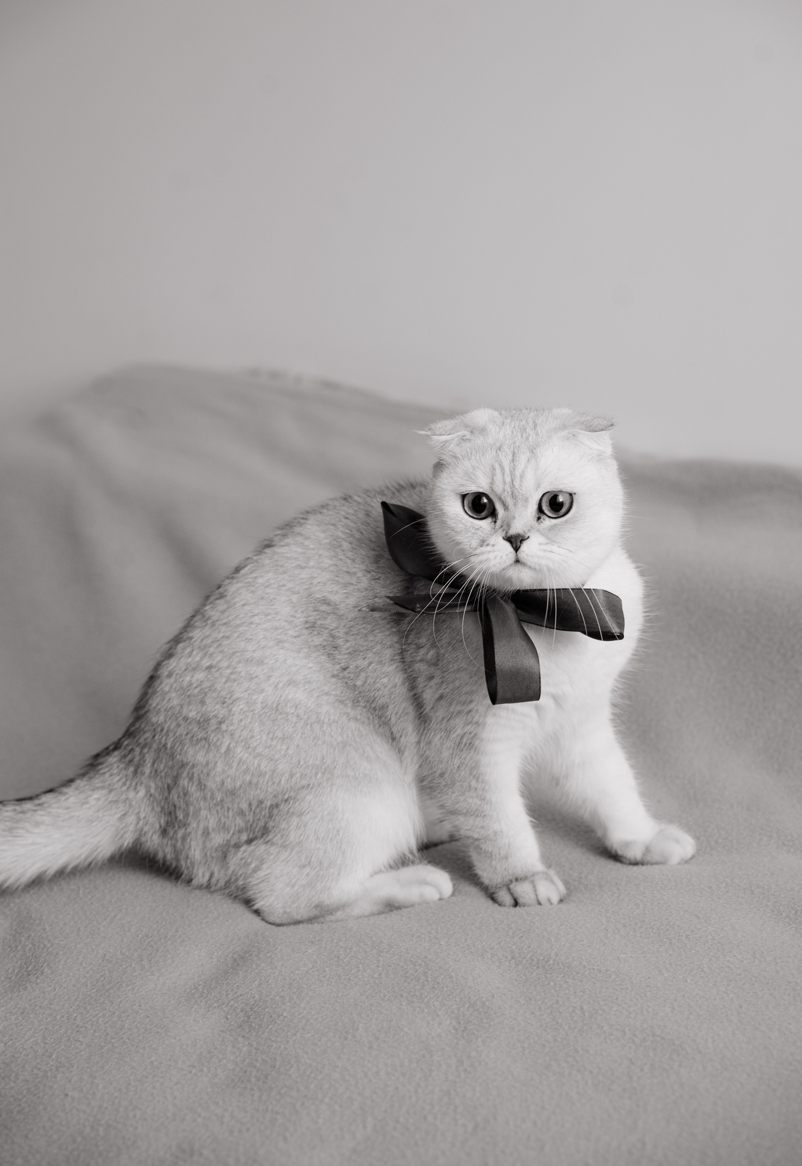 Марія та Богдан