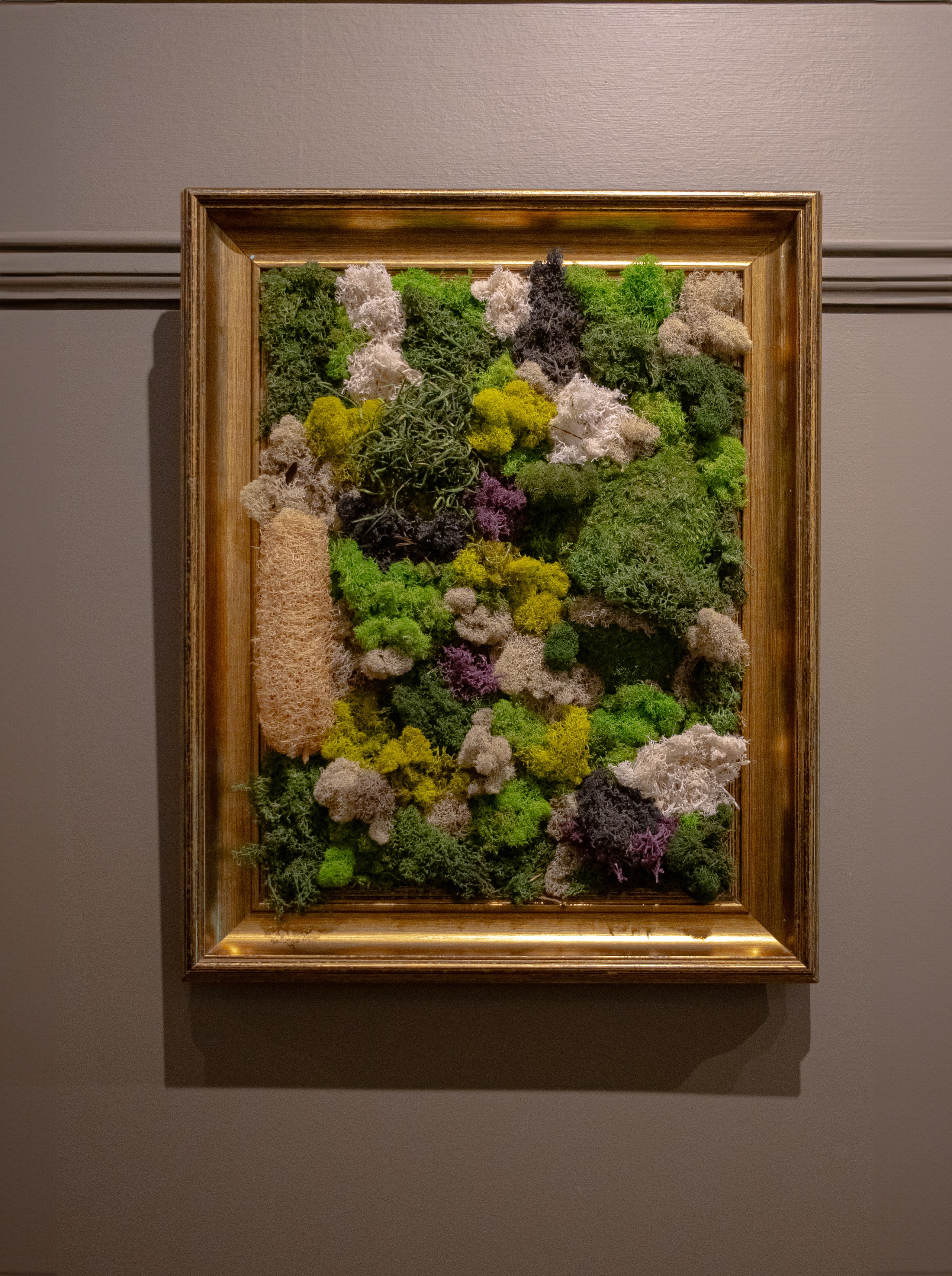 Anna & Moss magic, Content. Yana Bobrova | Artistic Photography