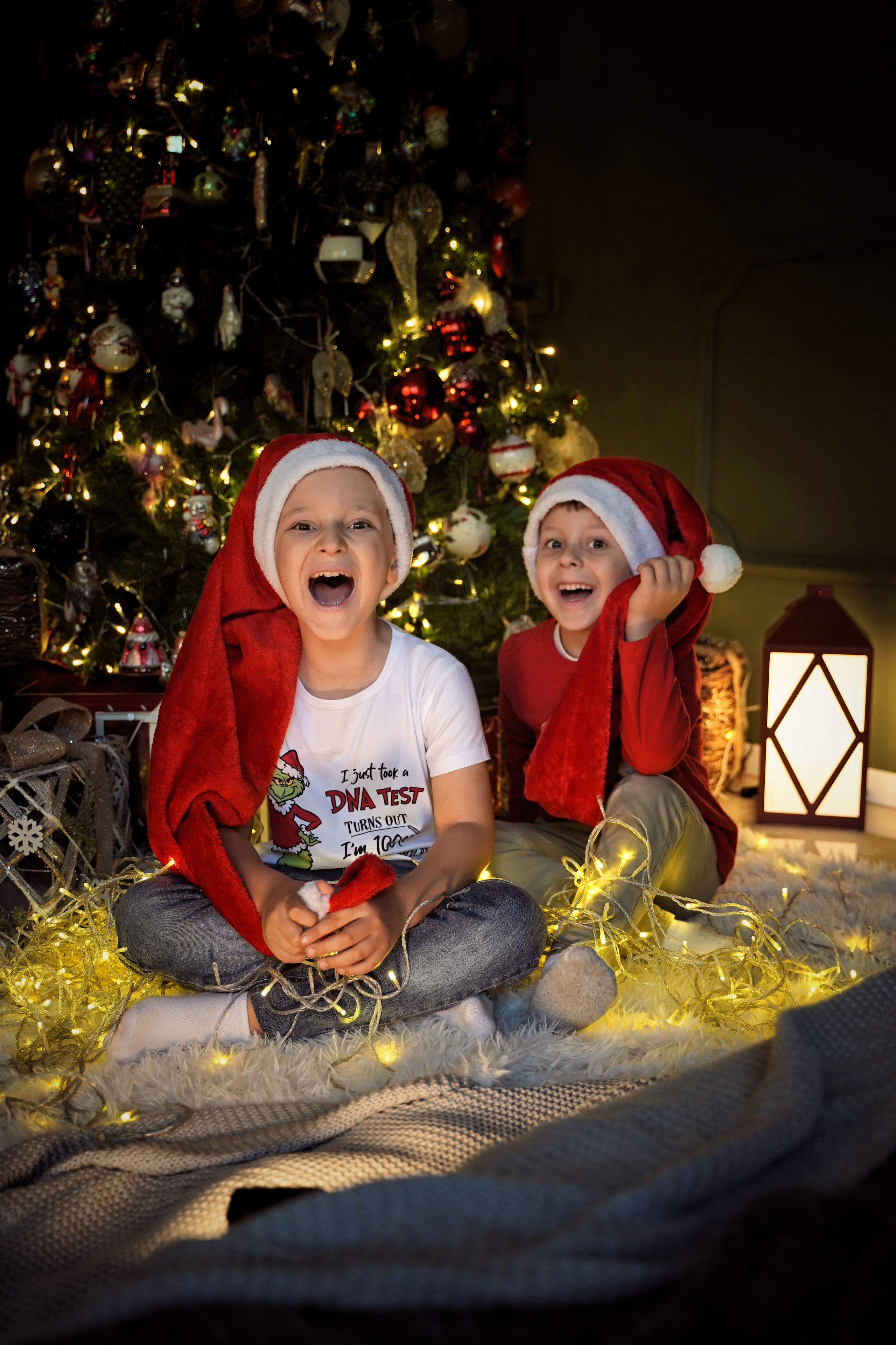 Новогодняя история одной семьи. Фотограф. Визуал. Хайфа. Талья Цветкова