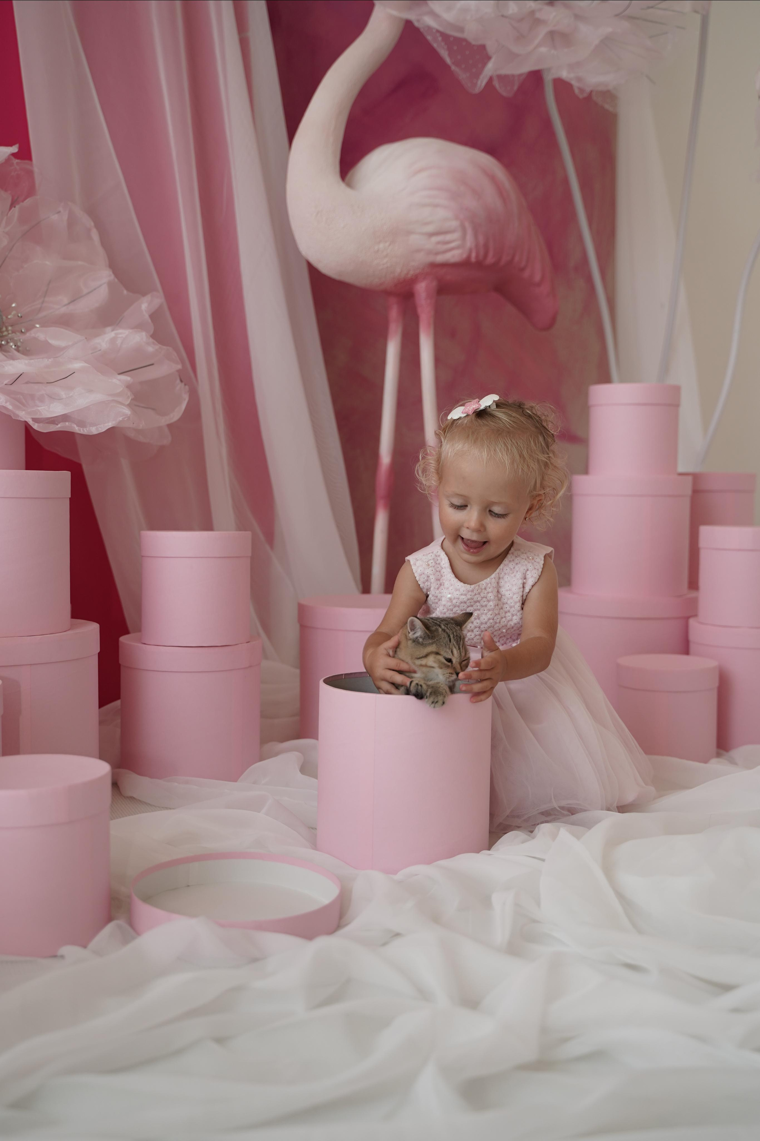 Фото день. Фотограф. Визуал. Хайфа. Талья Цветкова