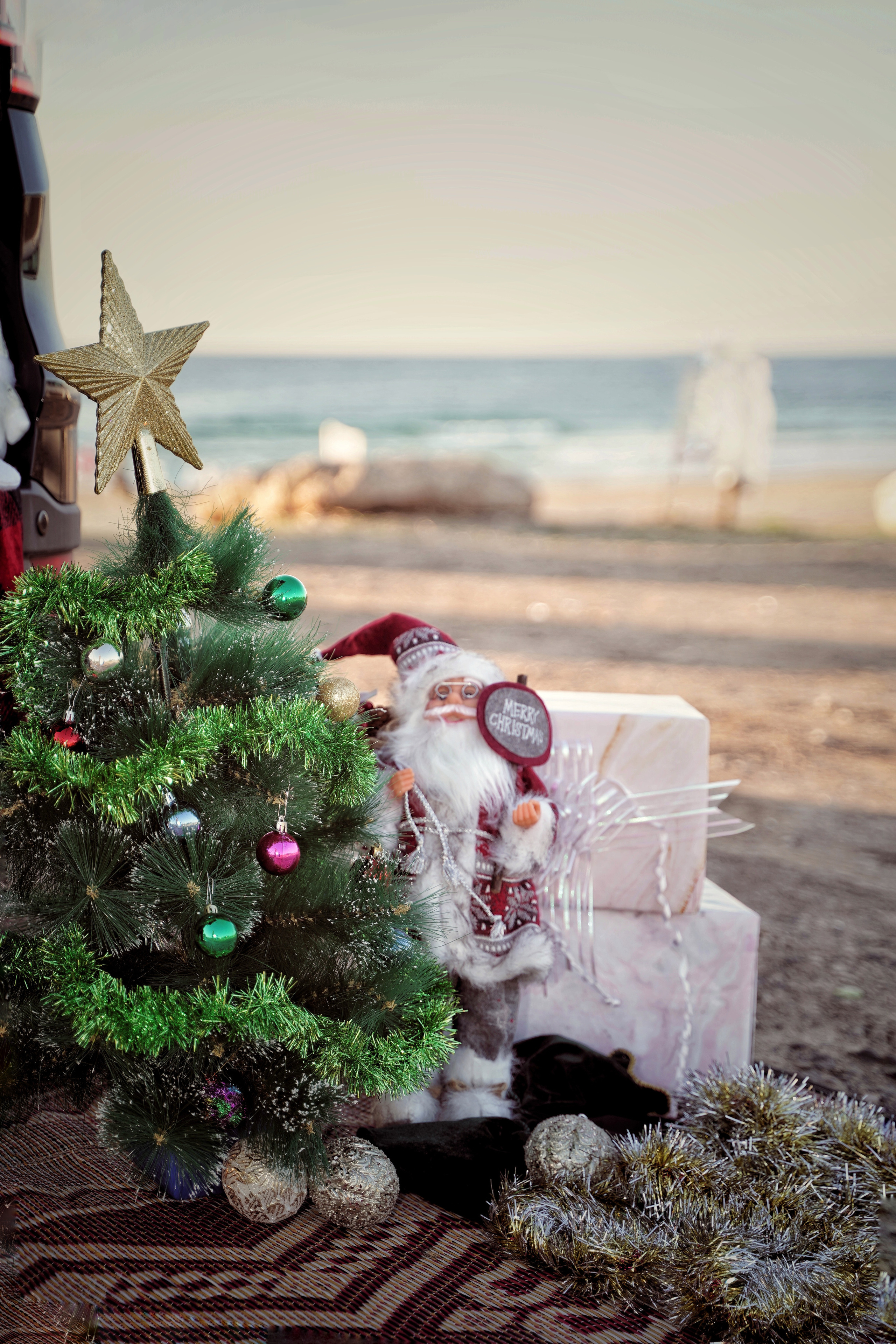 Пикник на пляже в Новый Год. Фотограф. Визуал. Хайфа. Талья Цветкова