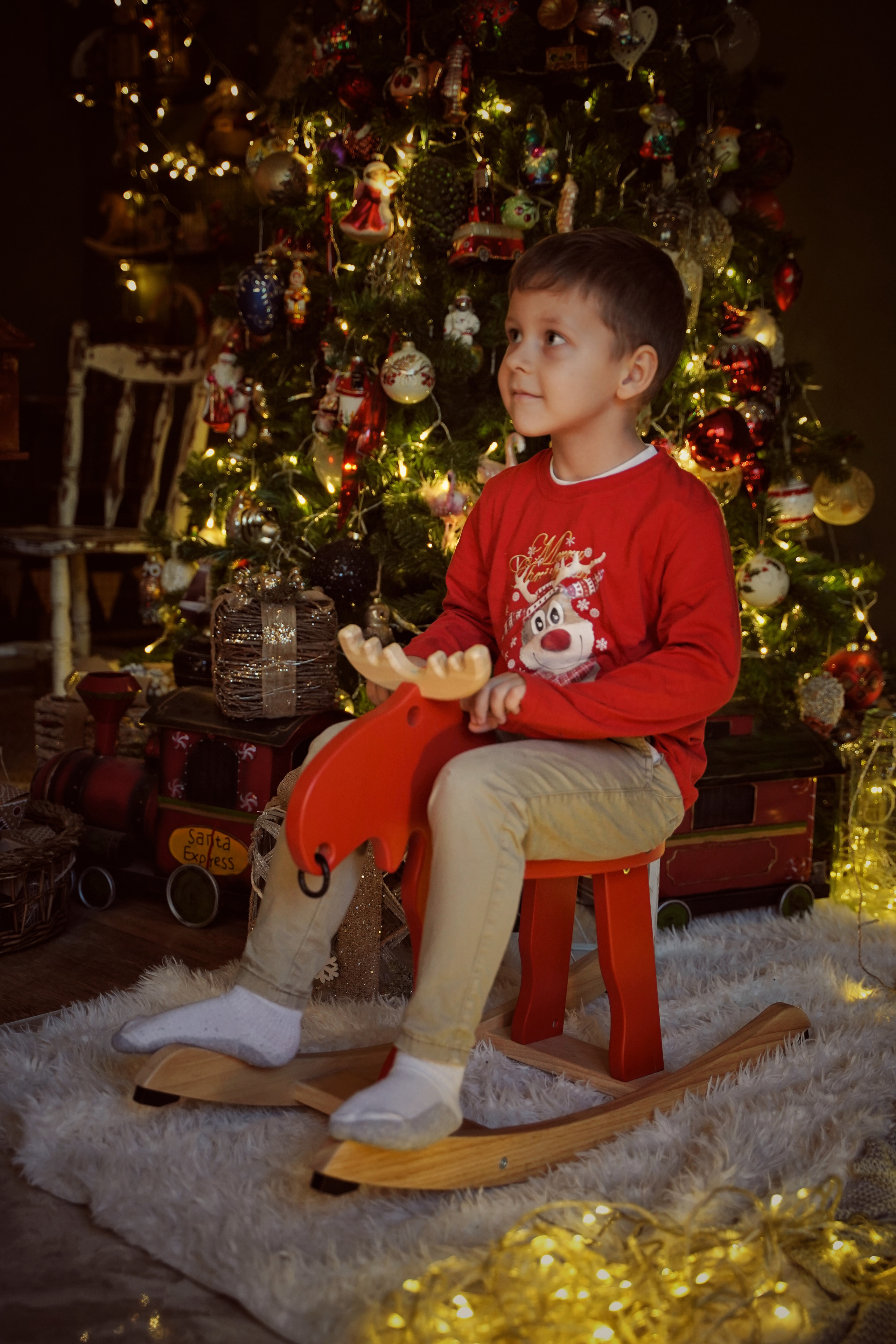 Новогодняя история одной семьи. Фотограф. Визуал. Хайфа. Талья Цветкова