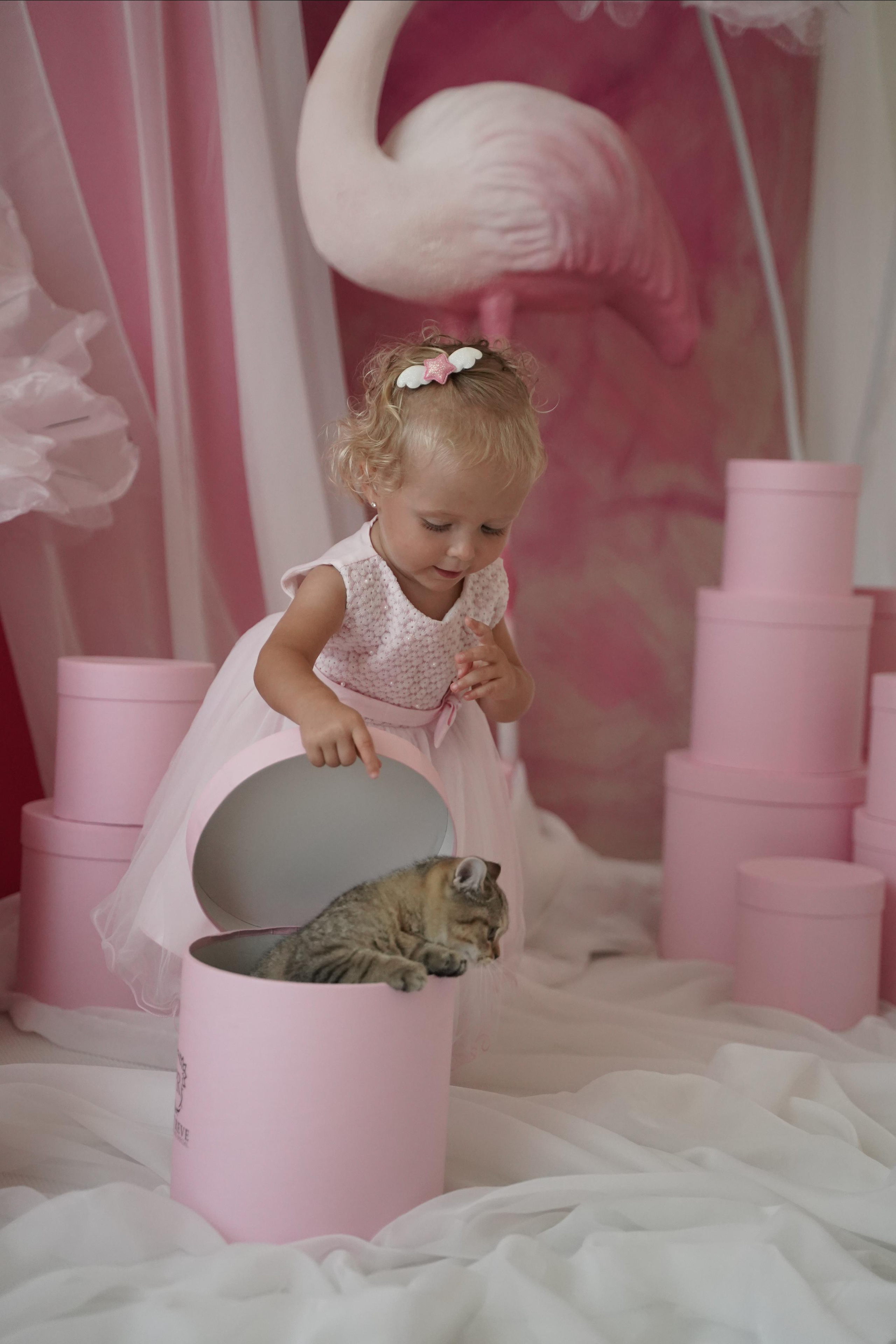 Фото день. Фотограф. Визуал. Хайфа. Талья Цветкова