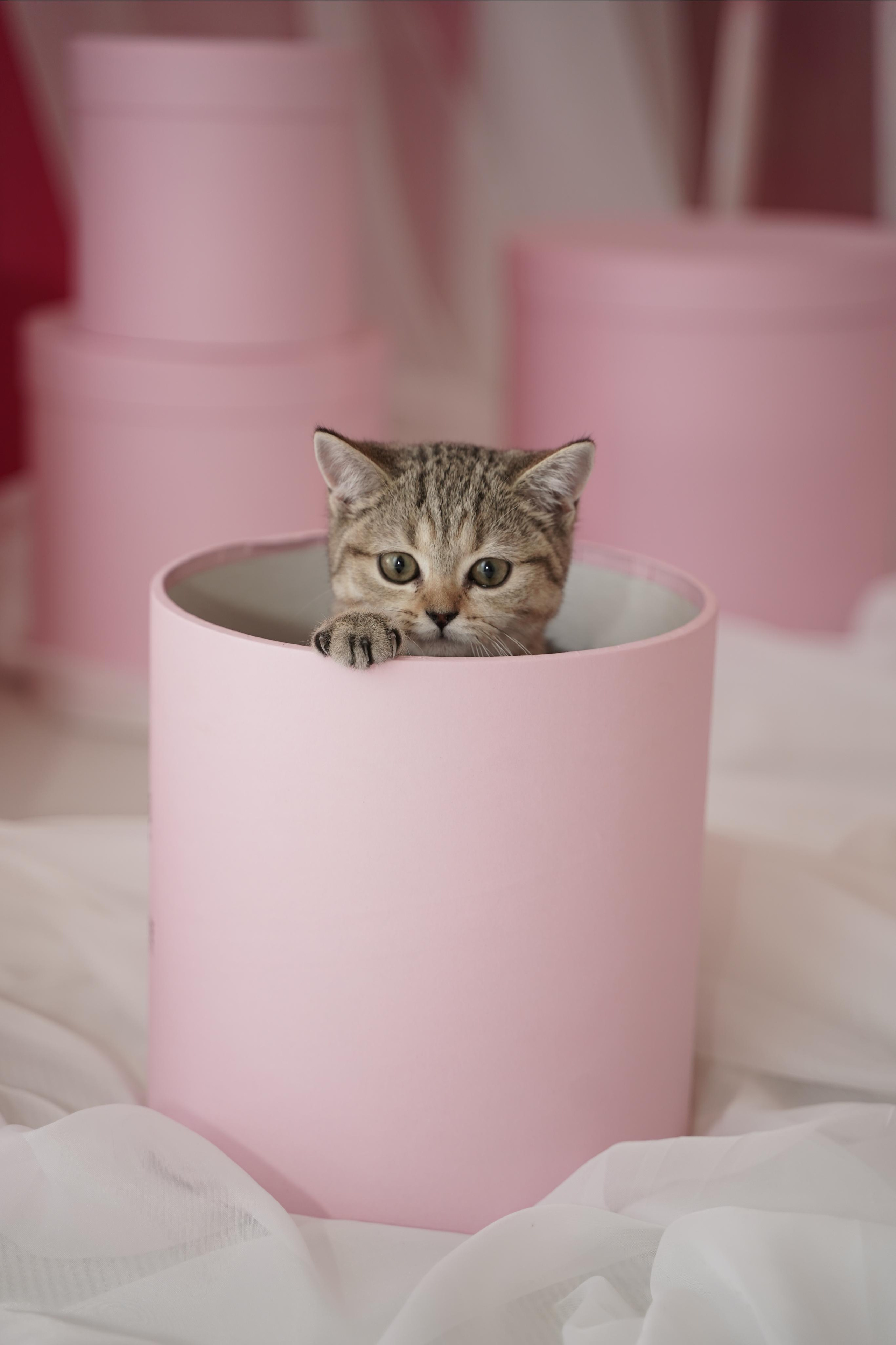 Детская | צילומי ילדים. Фотограф. Визуал. Хайфа. Талья Цветкова