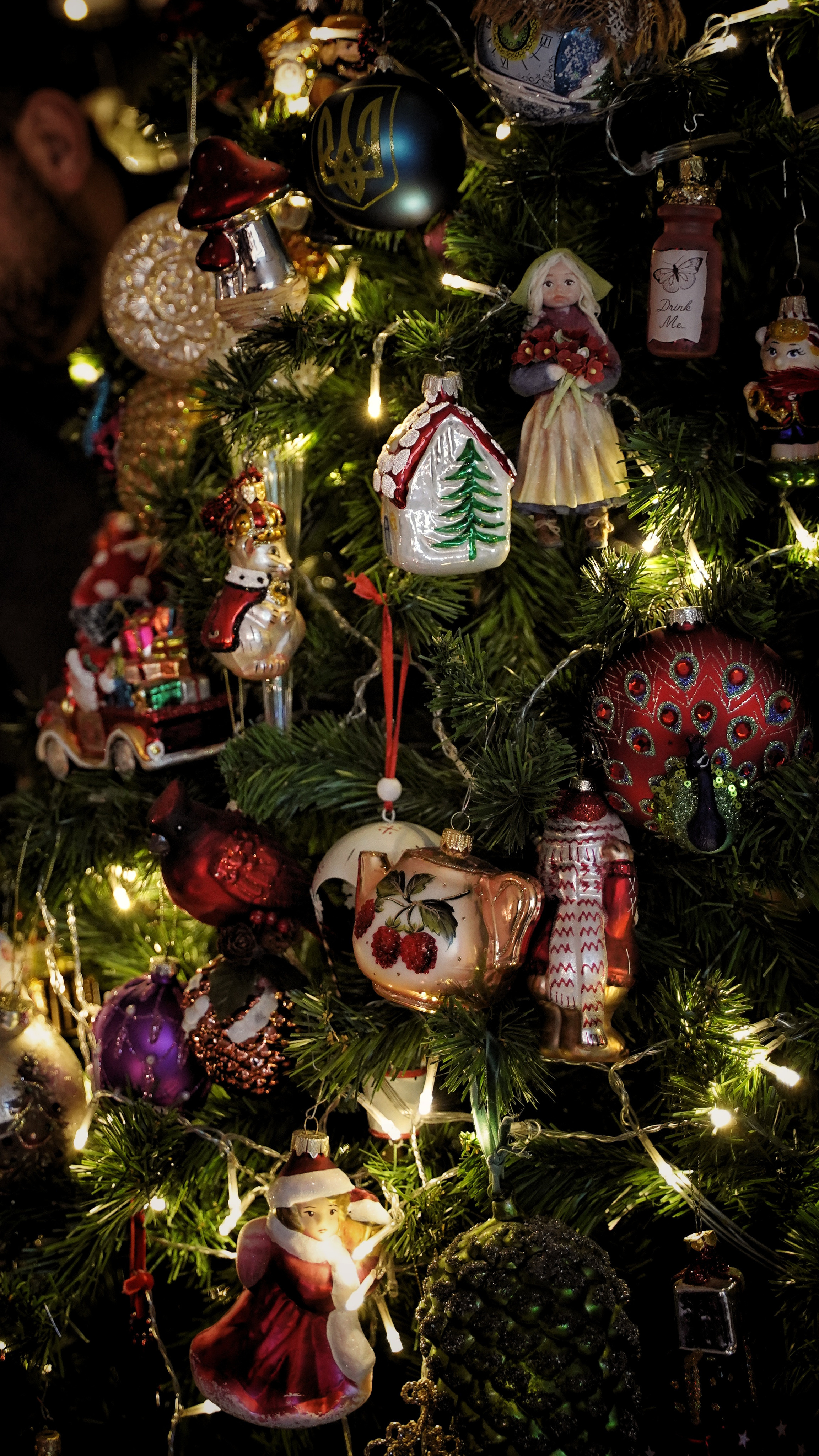 Волшебство в новогоднюю ночь. Фотограф. Визуал. Хайфа. Талья Цветкова