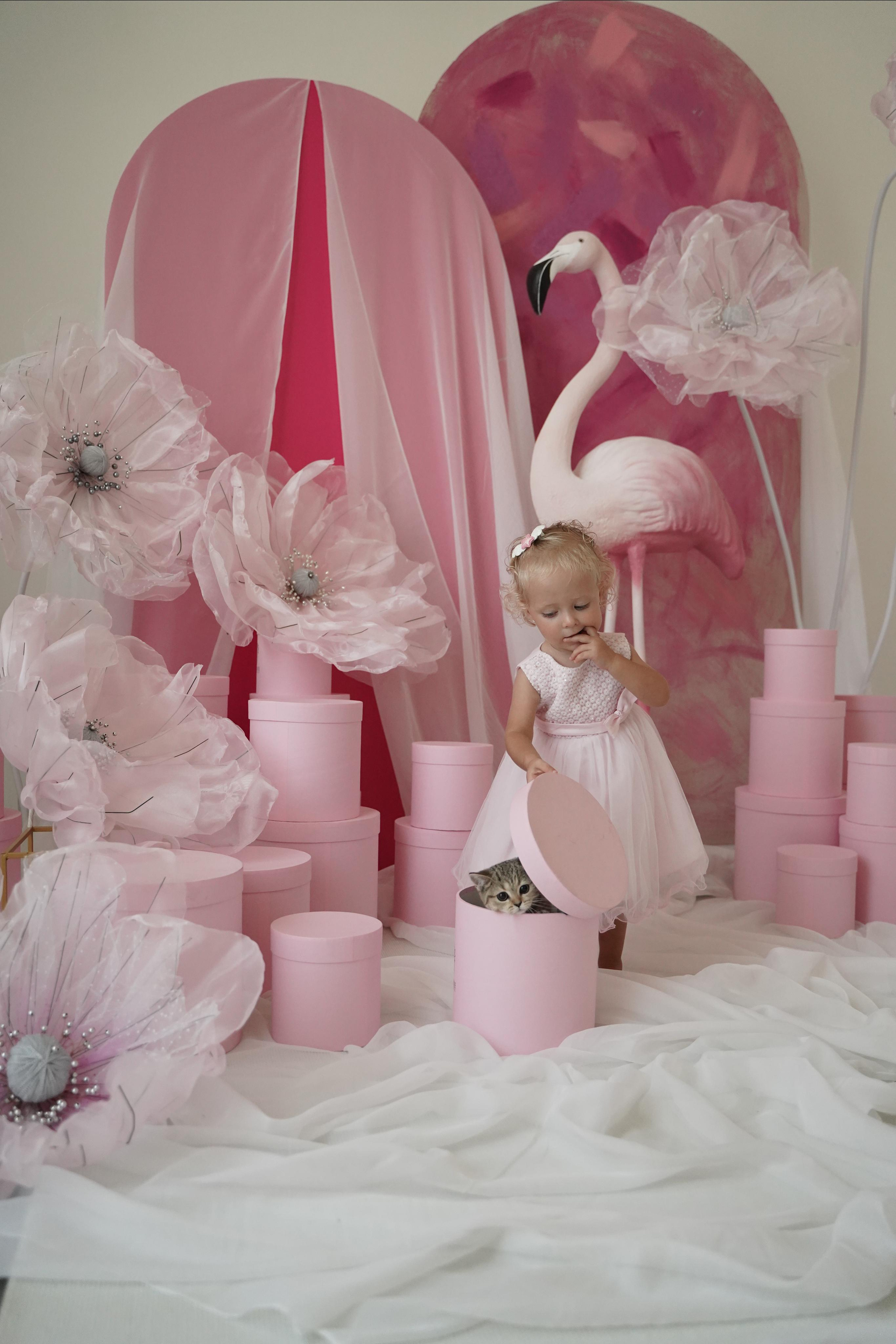 Фото день. Фотограф. Визуал. Хайфа. Талья Цветкова