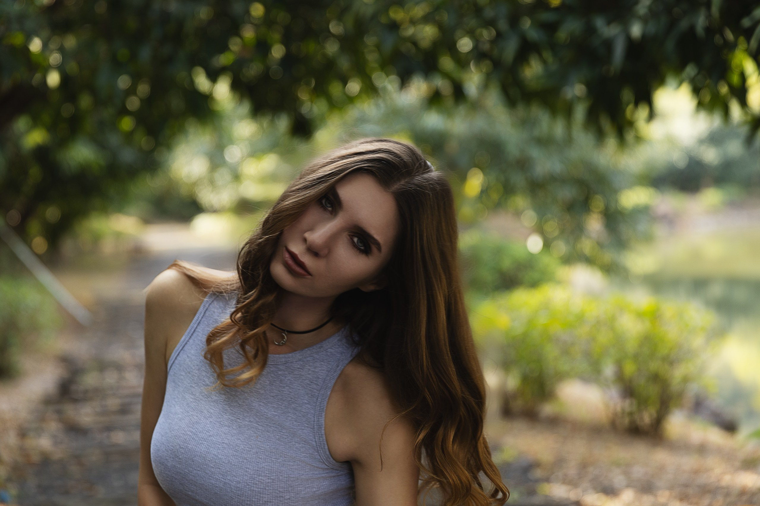 Diana morning in the forest