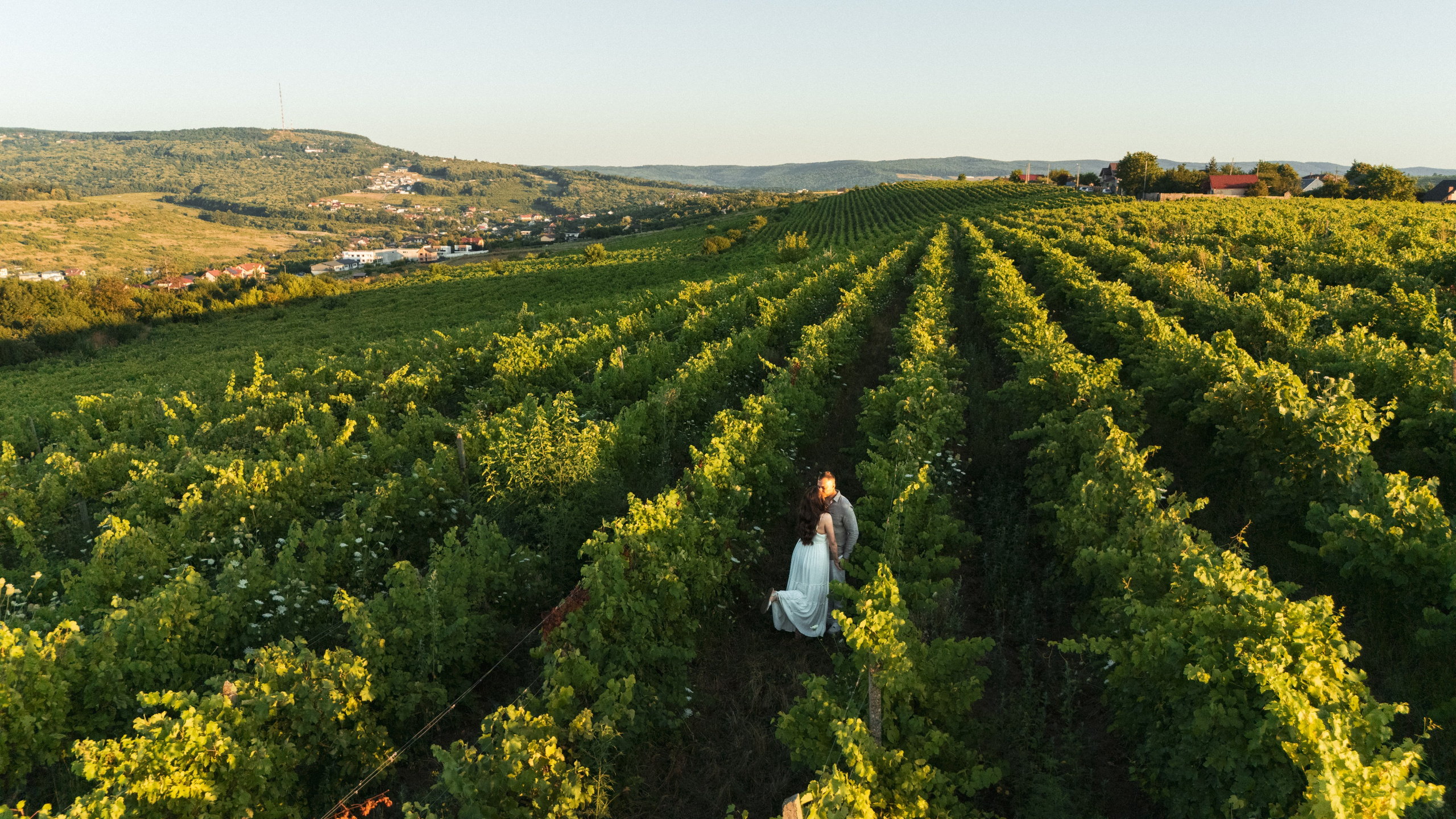 Couple Session — A Vineyard Love Story