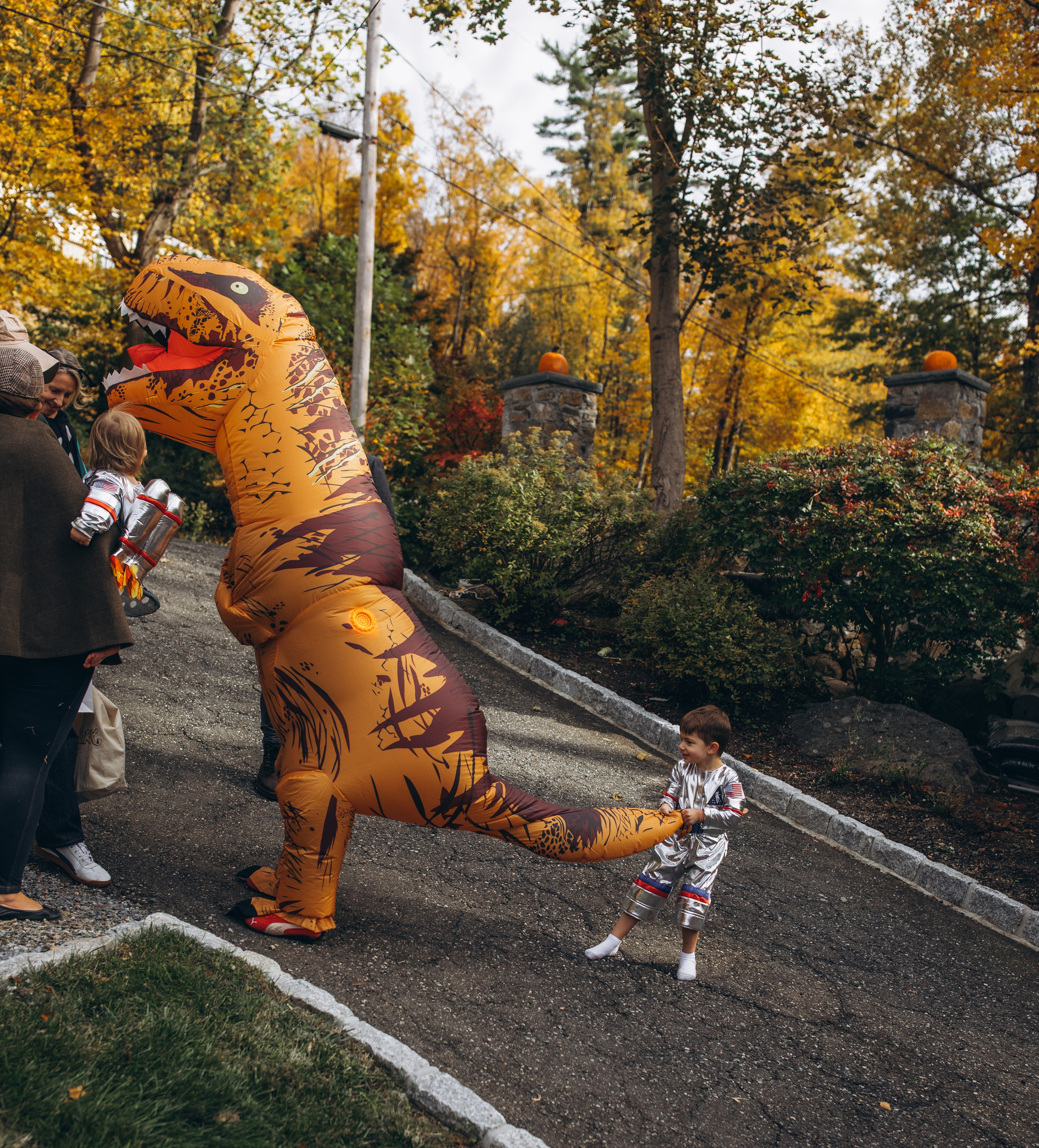 Grayson is One!. Love Through Photo