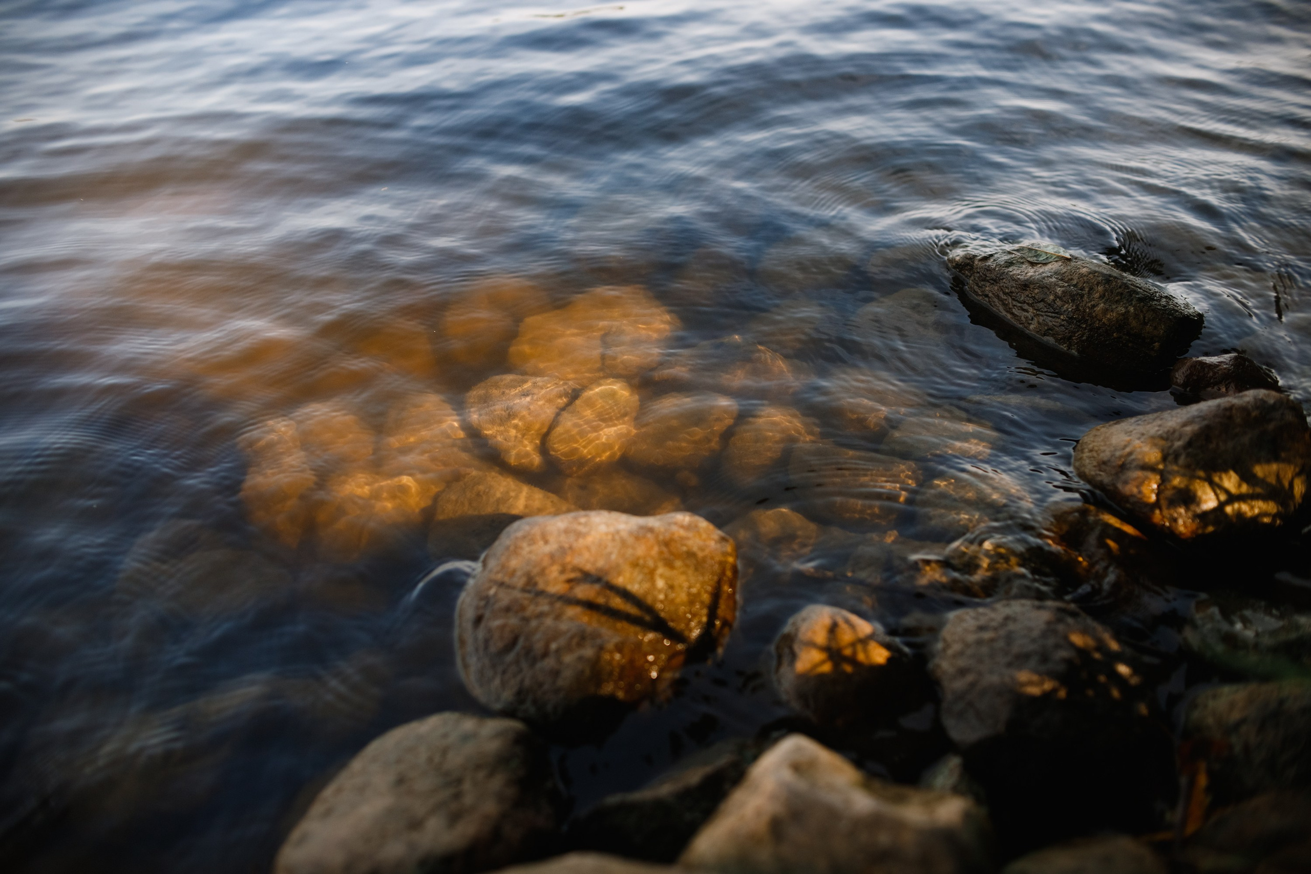 One small village in Grodno region. Kaja | fotograf we Wrocławiu | ludzie i psy