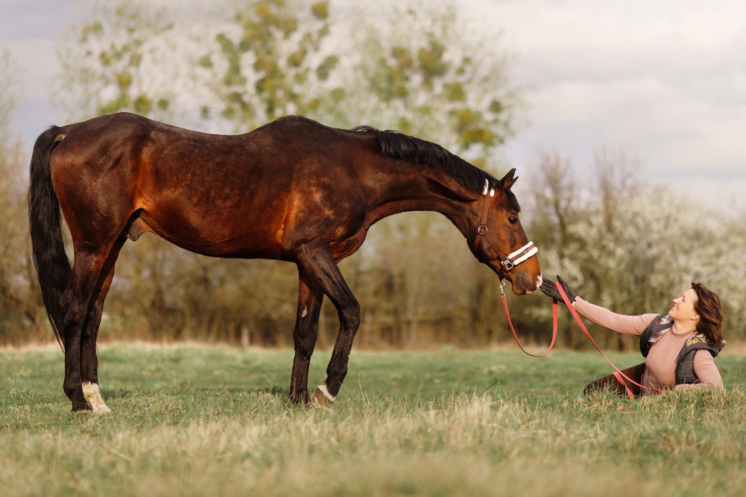 Vykup. Kaja | fotograf psów we Wrocławiu