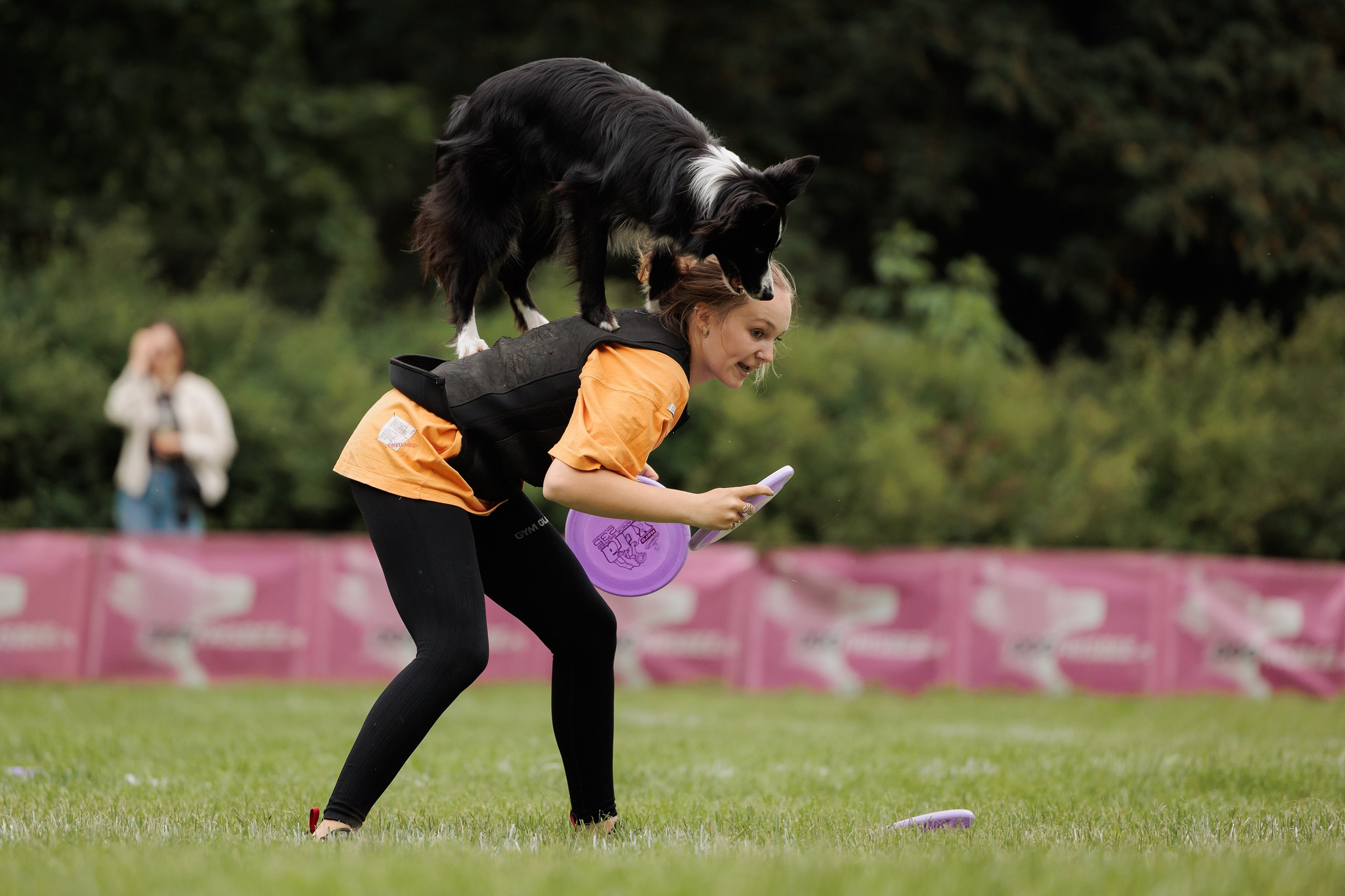 Latające psy, Wrocław'25. Kaja | fotograf psów we Wrocławiu