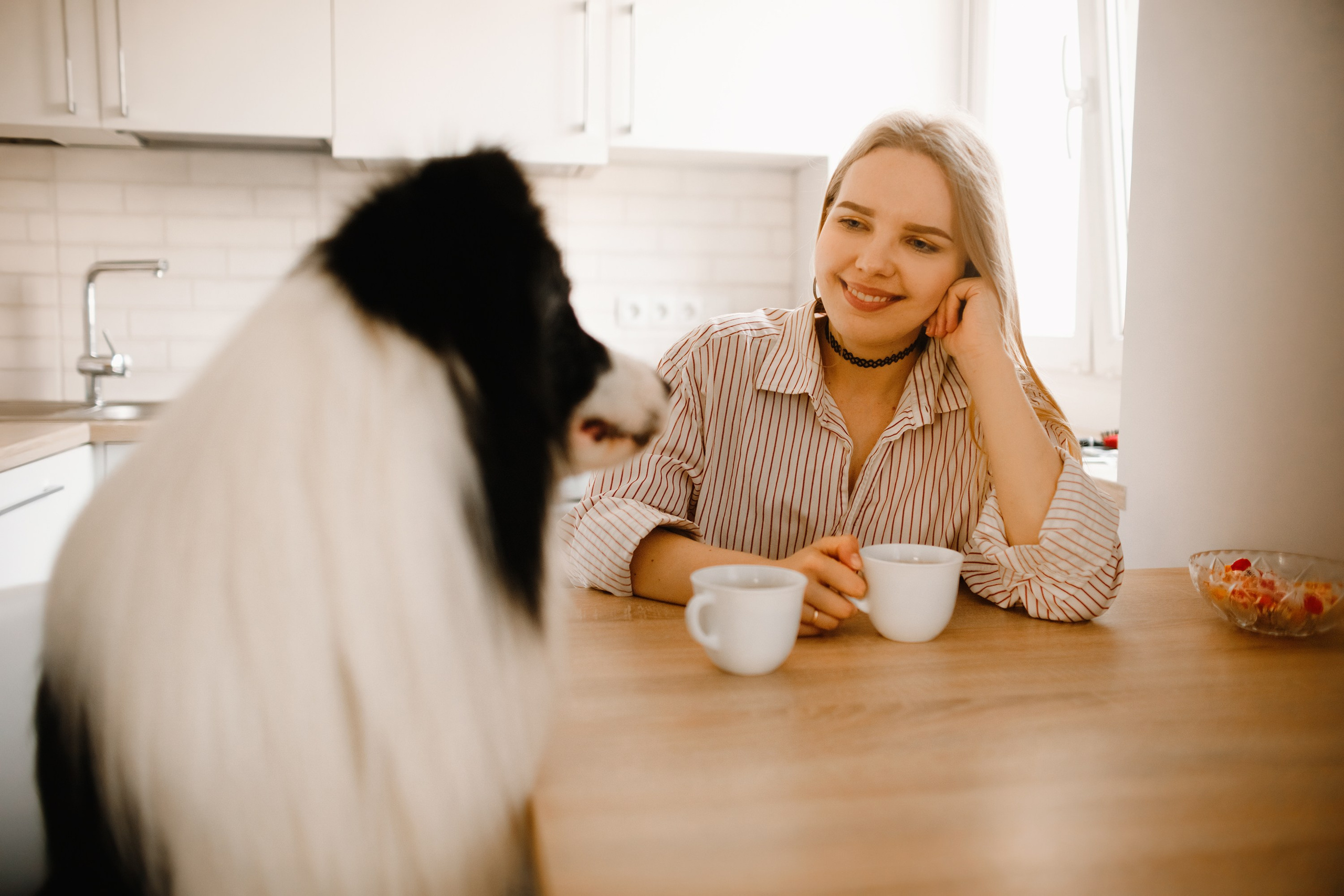 Evgenia & Richard. Kaja | fotograf we Wrocławiu | ludzie i psy