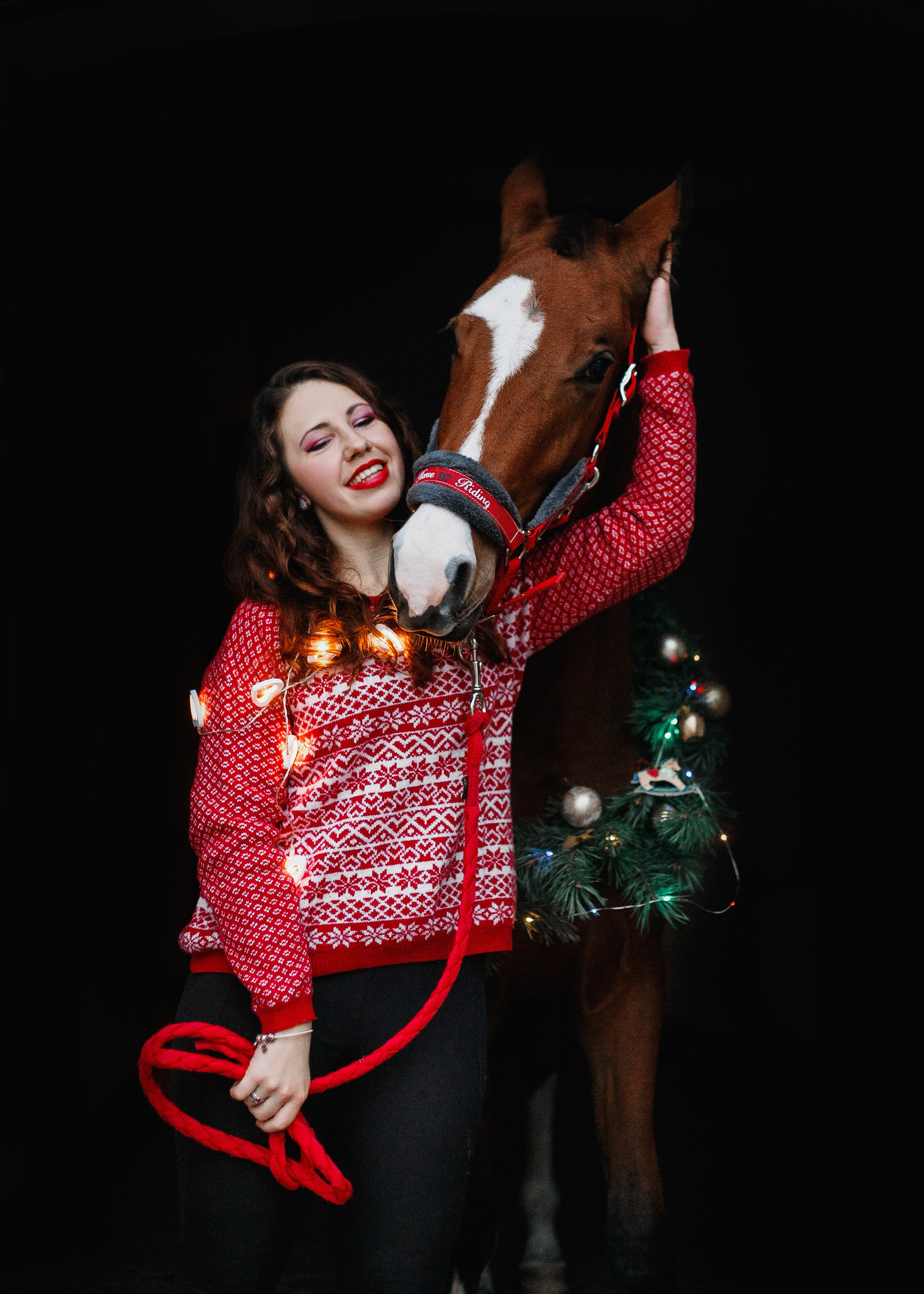 Aibike | winter. Kaja | fotograf psów we Wrocławiu