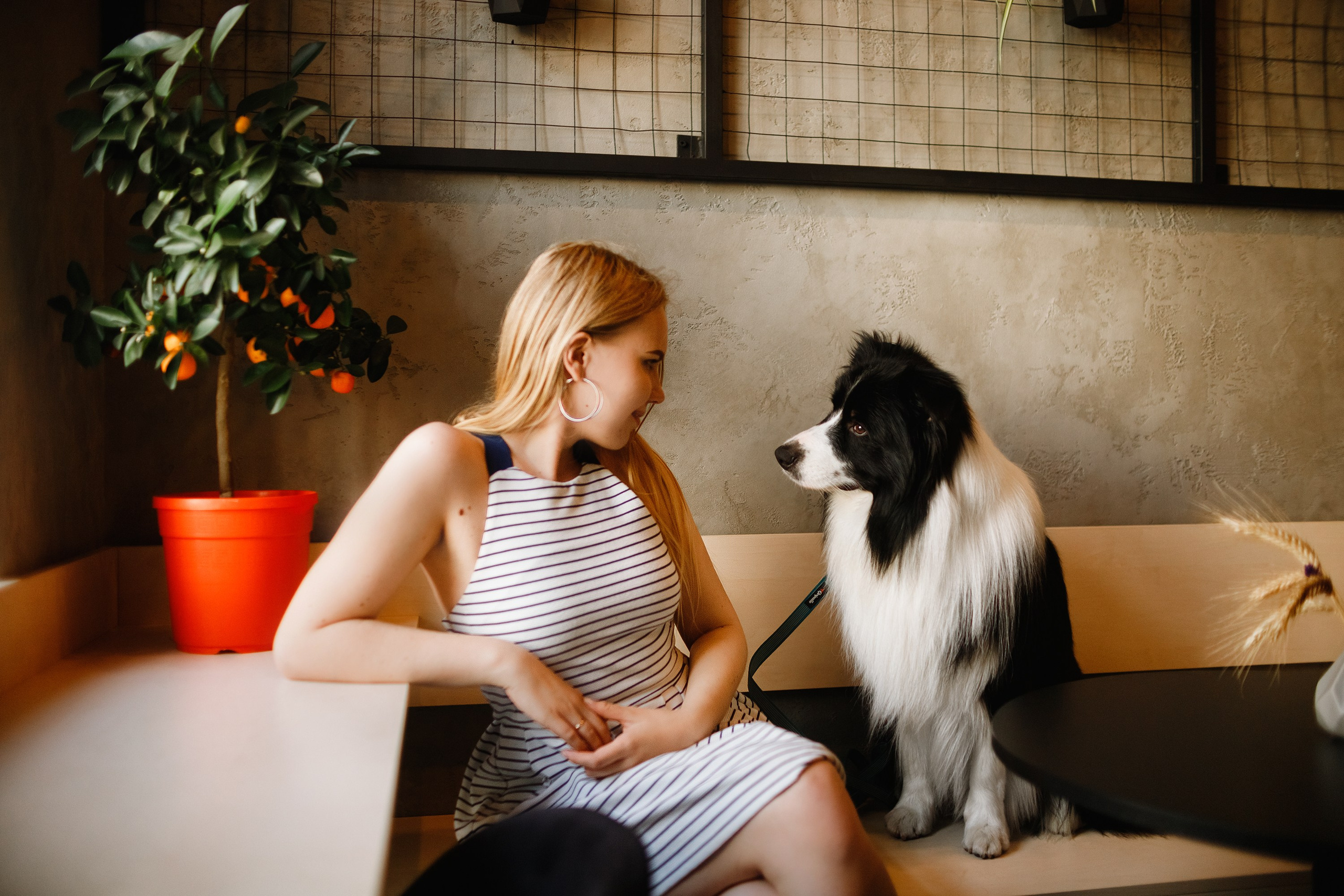 Evgenia & Richard. Kaja | fotograf we Wrocławiu | ludzie i psy