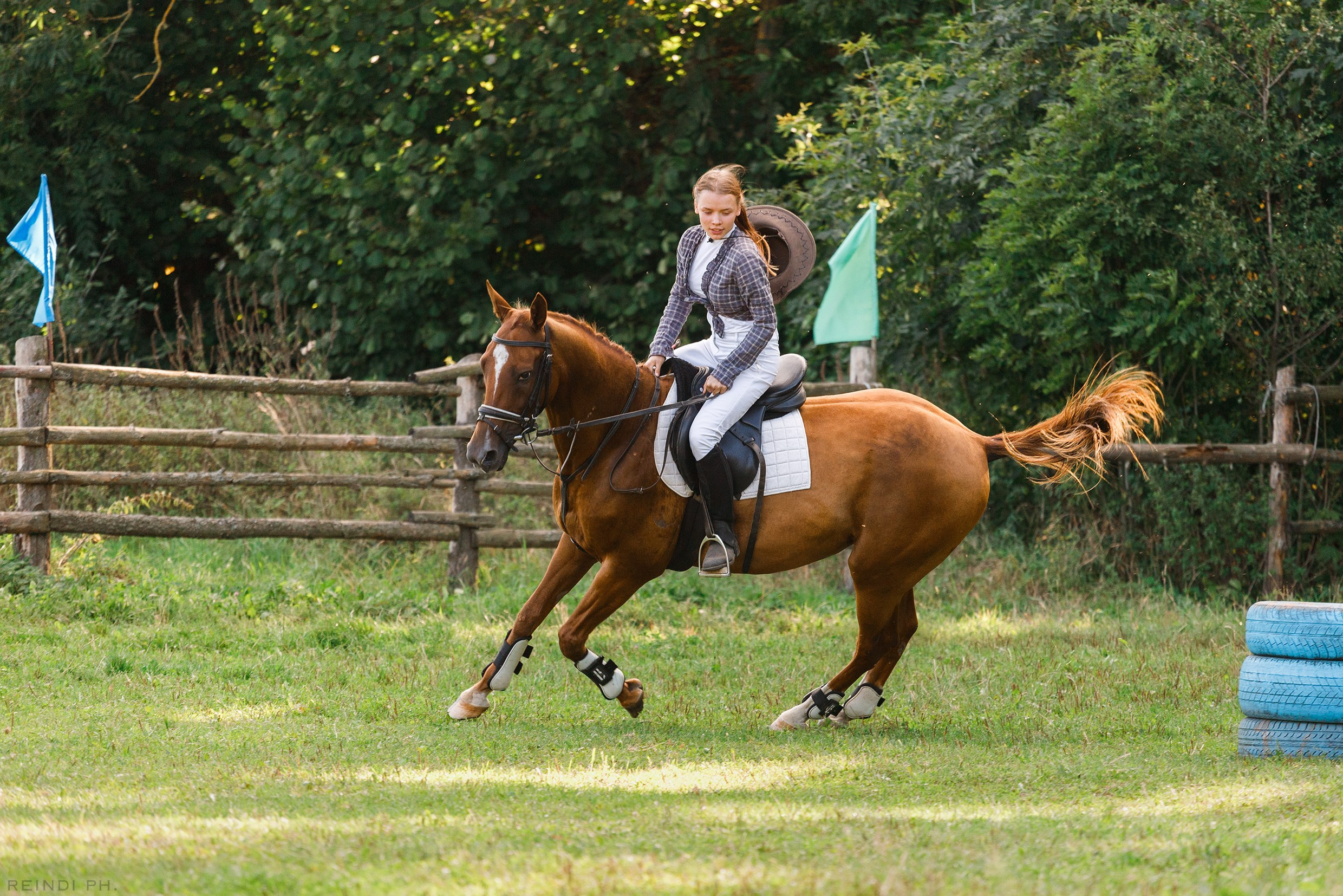 Horse show in the village. Kaja | fotograf we Wrocławiu | ludzie i psy