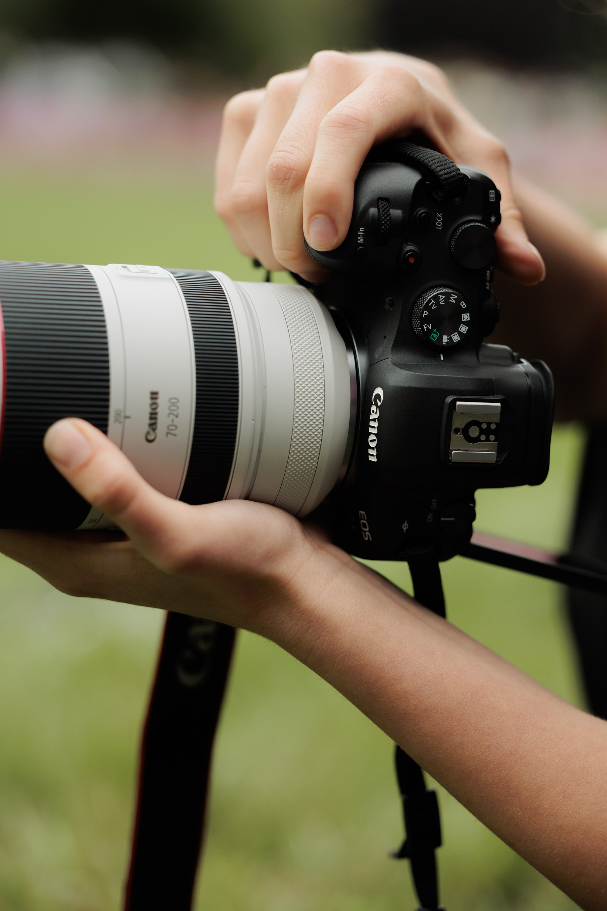 Latające psy, Wrocław'25. Kaja | fotograf psów we Wrocławiu